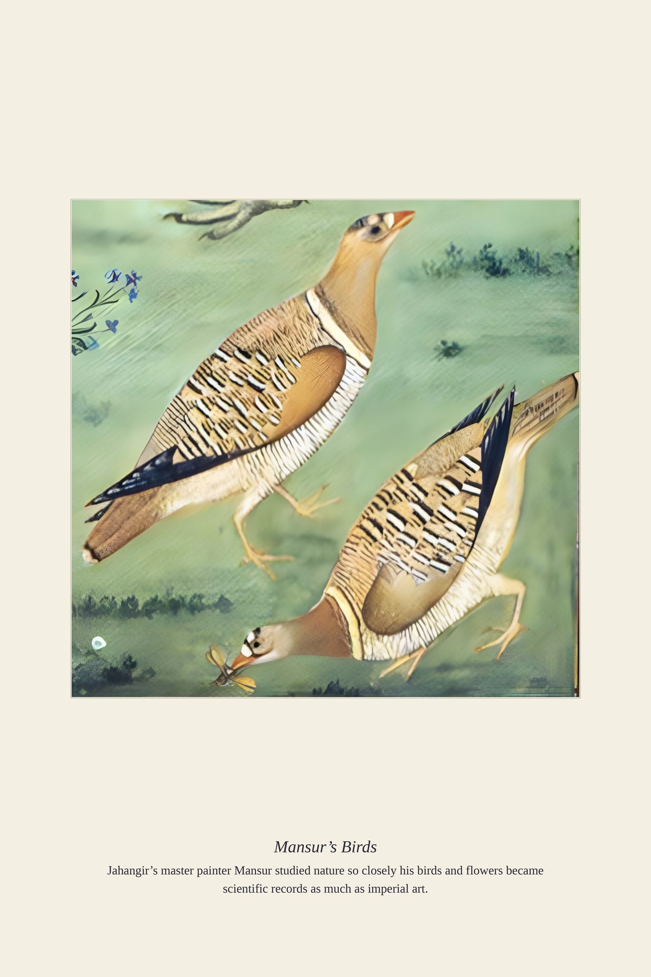 Mansur’s Birds — antique art print