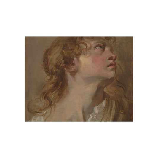 Head of a Girl — Anthony van Dyck Fine Art Poster