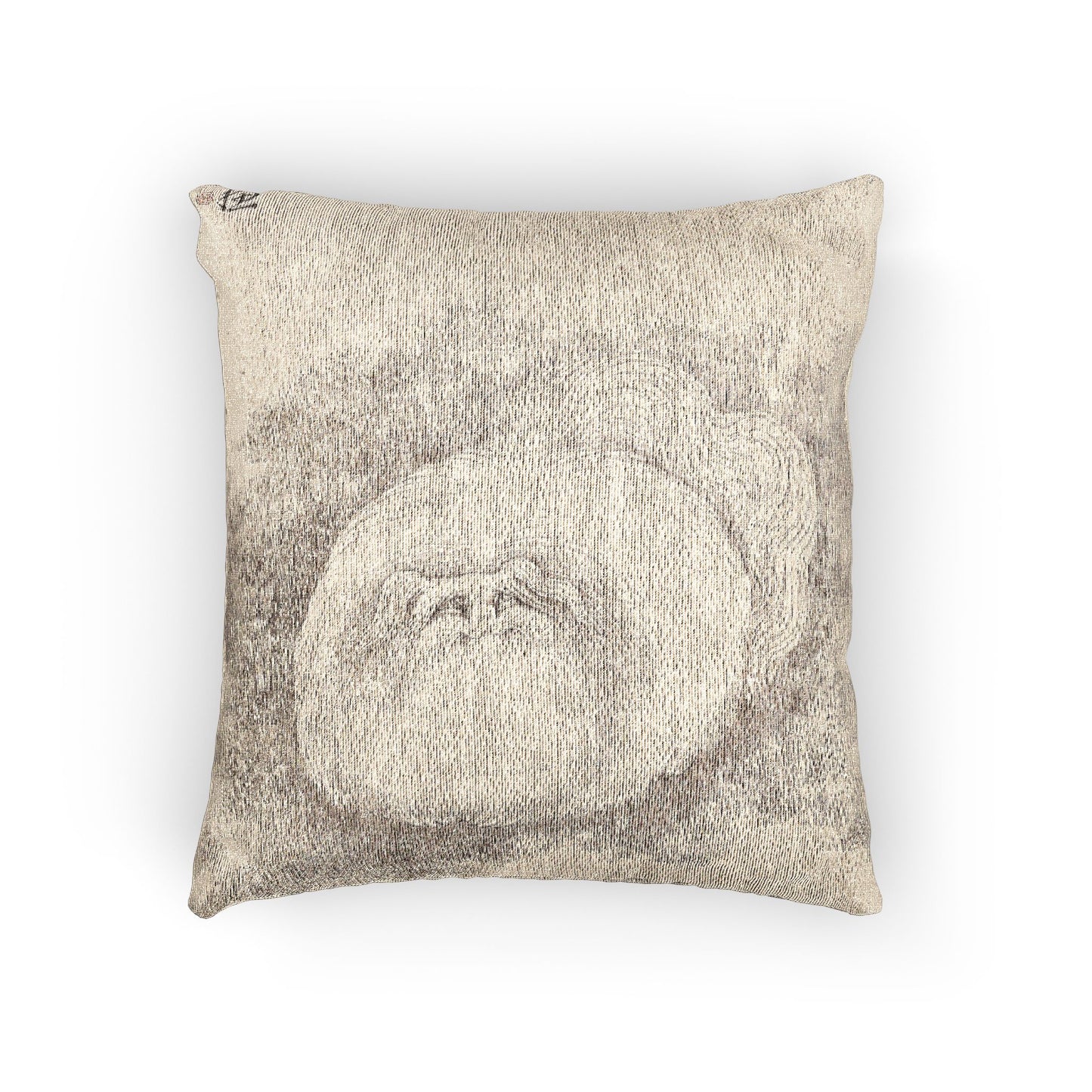 Cat and Butterfly Woven Pillow