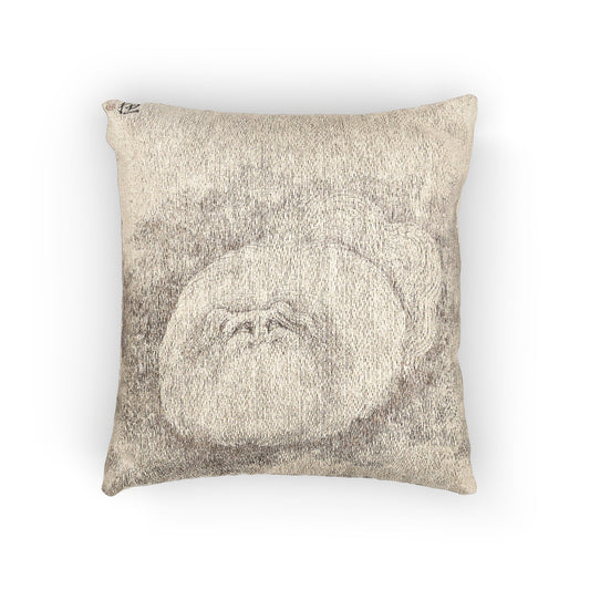 Cat and Butterfly Pillow