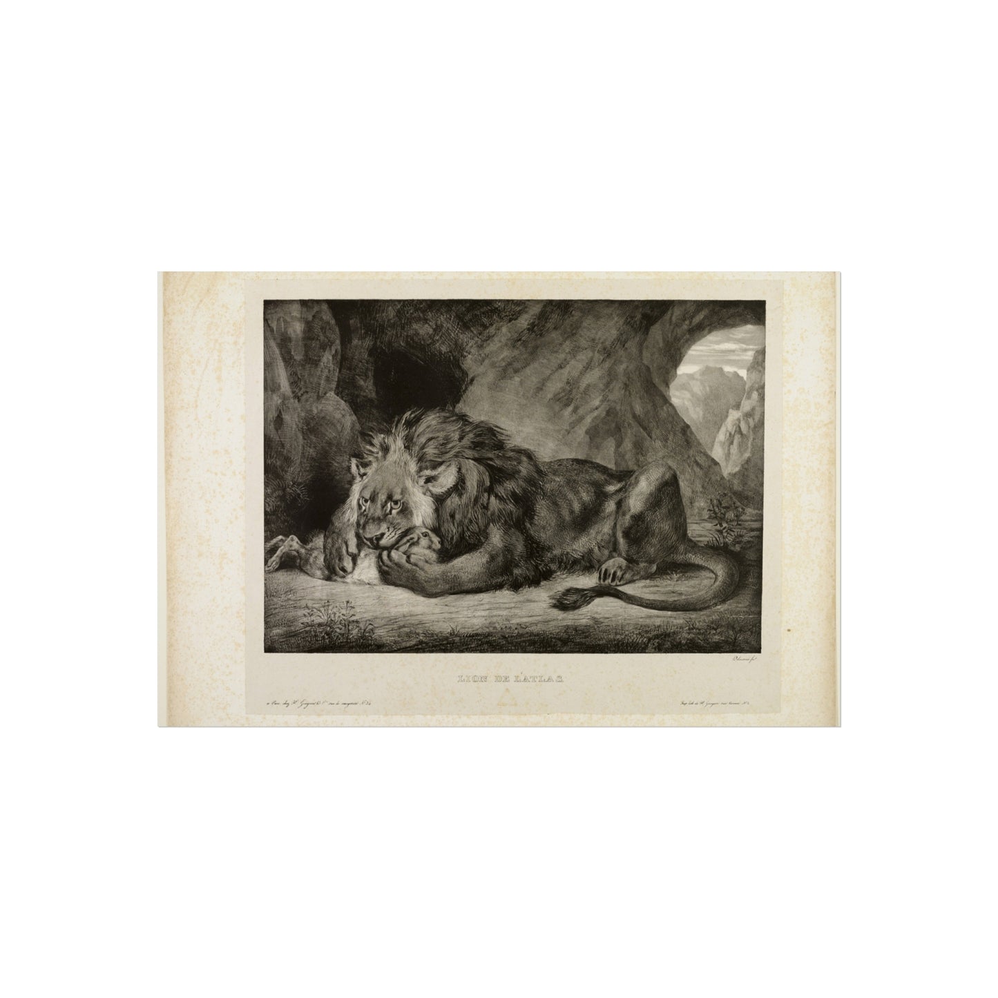 Eugène Delacroix - Lion of the Atlas Mountains | Fine Art Poster