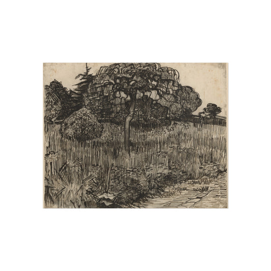 Weeping Tree — Vincent van Gogh Fine Art Poster
