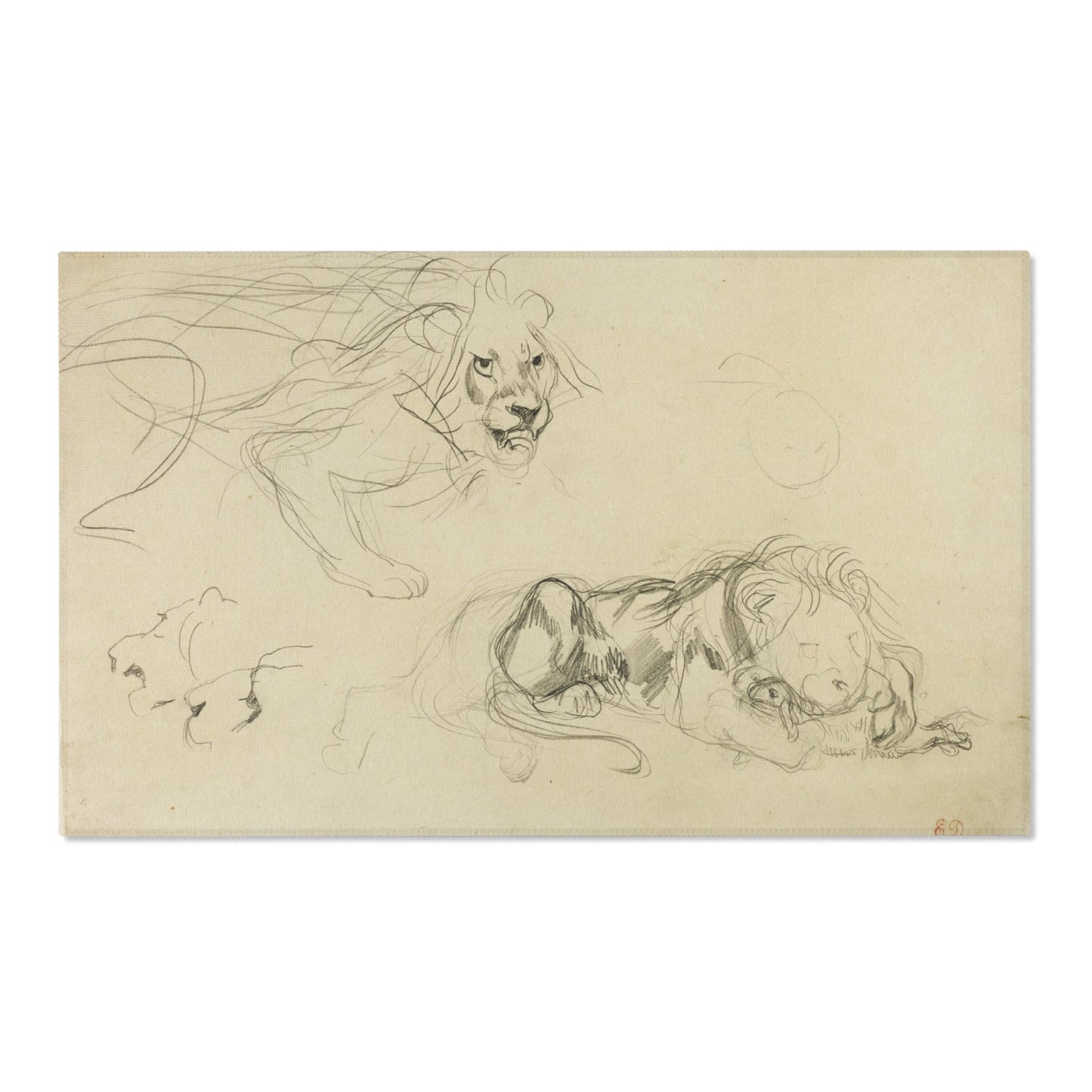 Eugène Delacroix - Studies of Lions | Area Rug