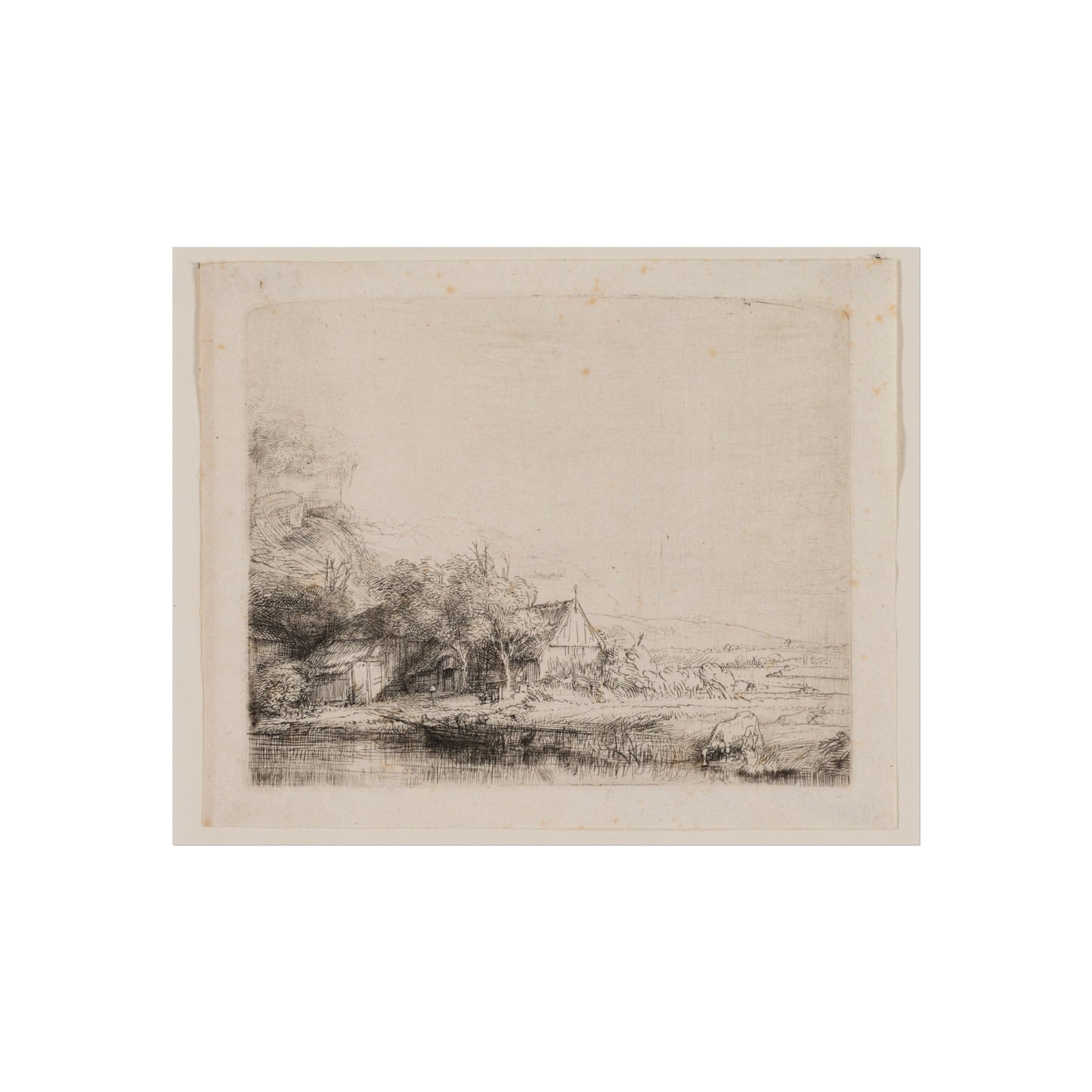 Rembrandt van Rijn - Landscape with a Cow Drinking | Fine Art Poster