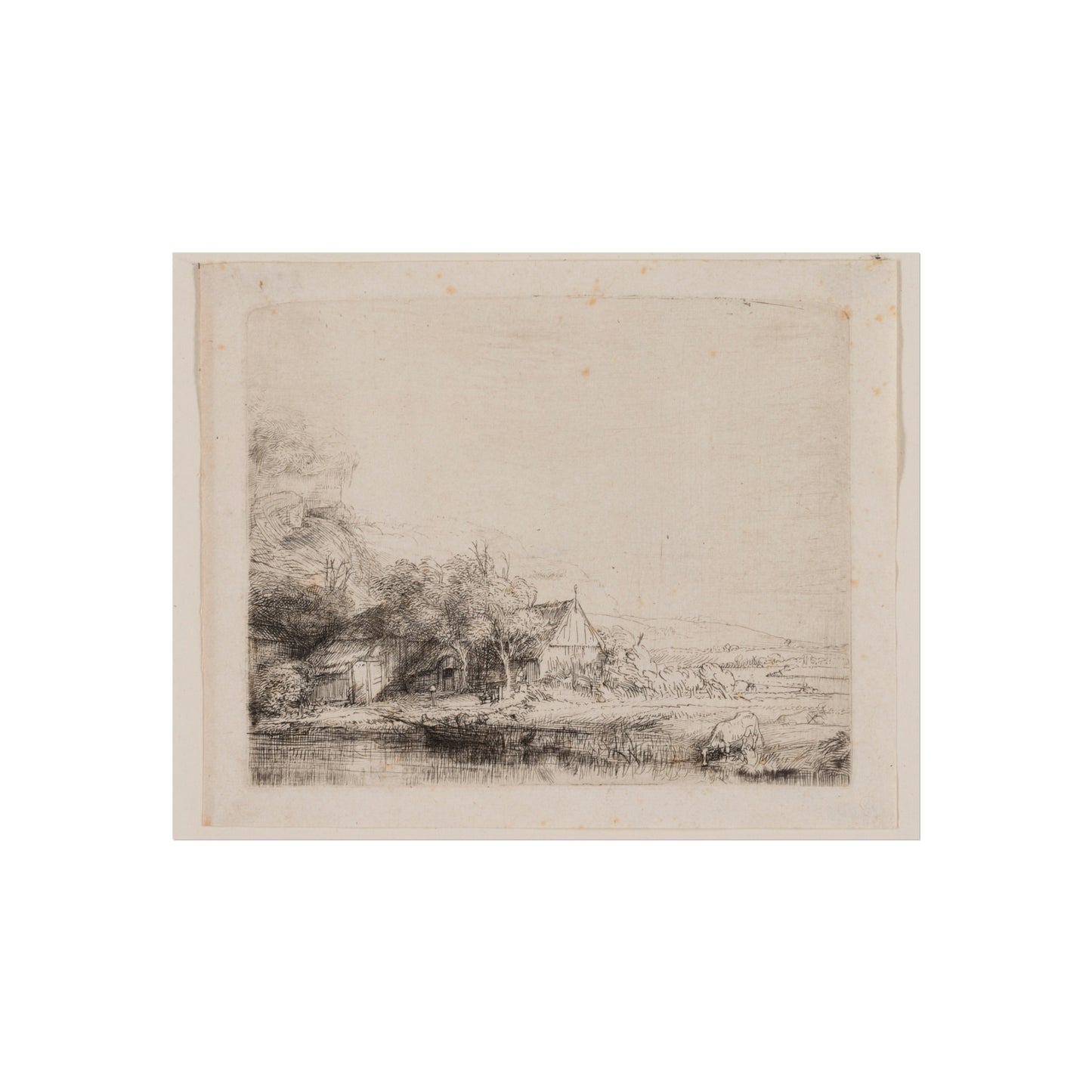 Rembrandt van Rijn - Landscape with a Cow Drinking | Fine Art Poster
