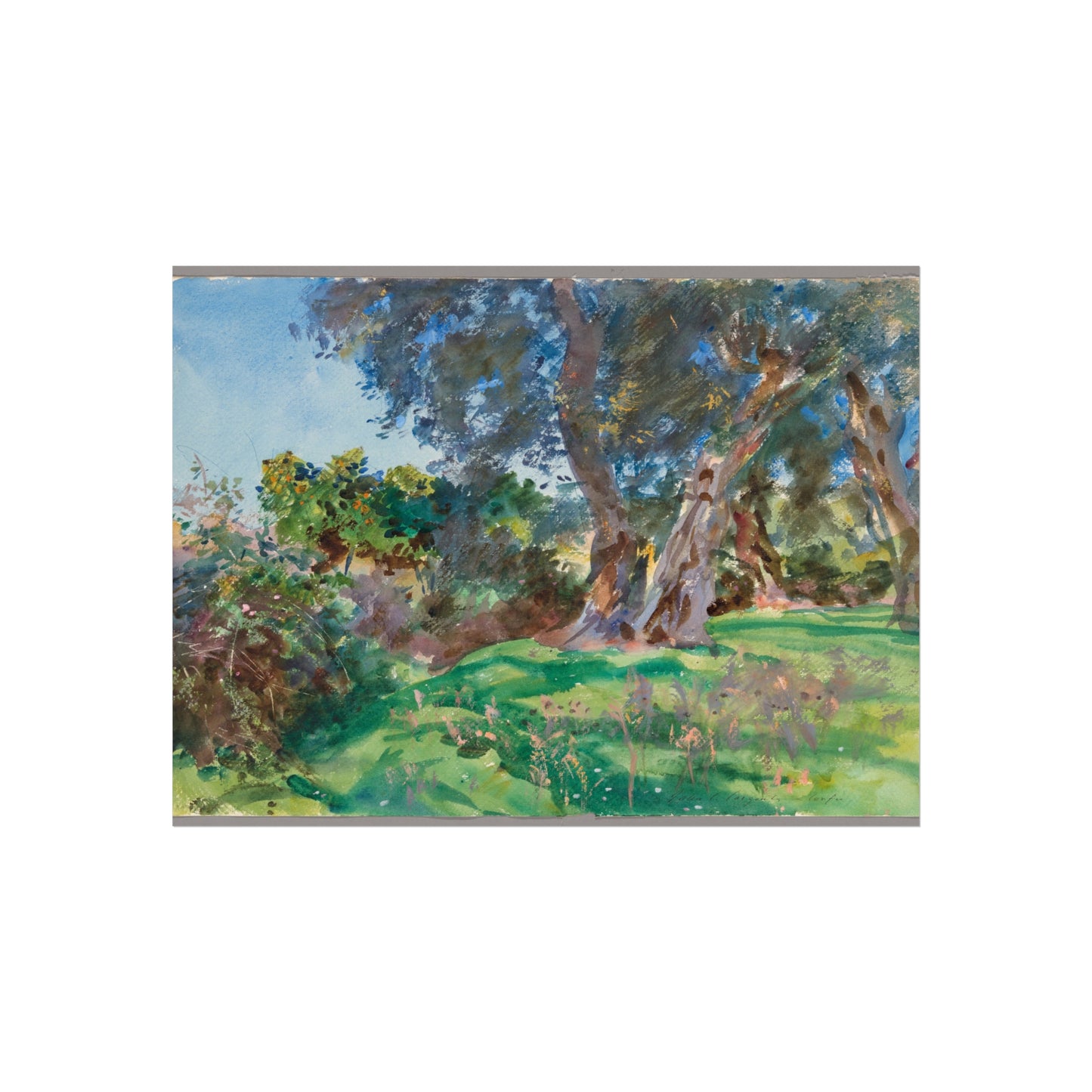 John Singer Sargent - Olive Trees, Corfu | Fine Art Poster