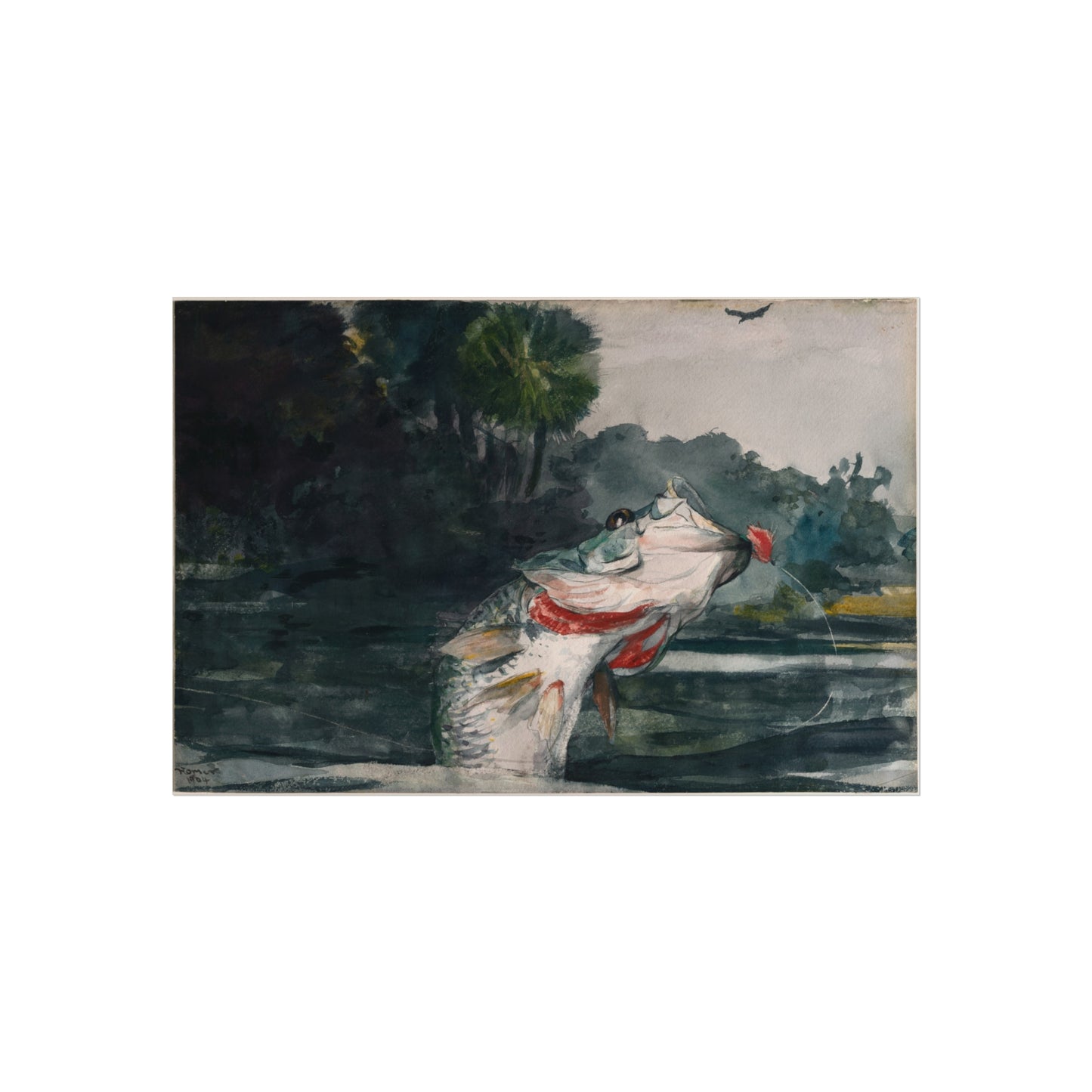Winslow Homer - Life-Size Black Bass | Fine Art Poster