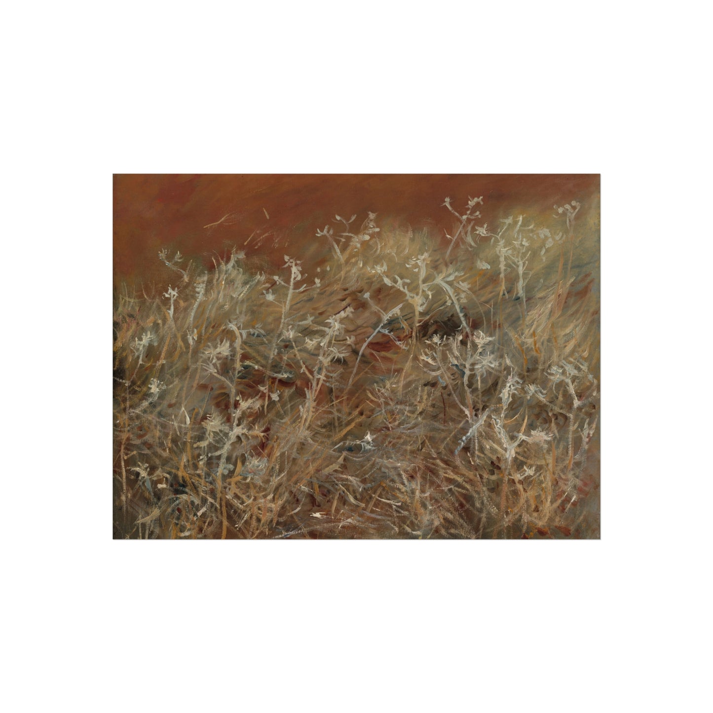 John Singer Sargent - Thistles | Fine Art Poster
