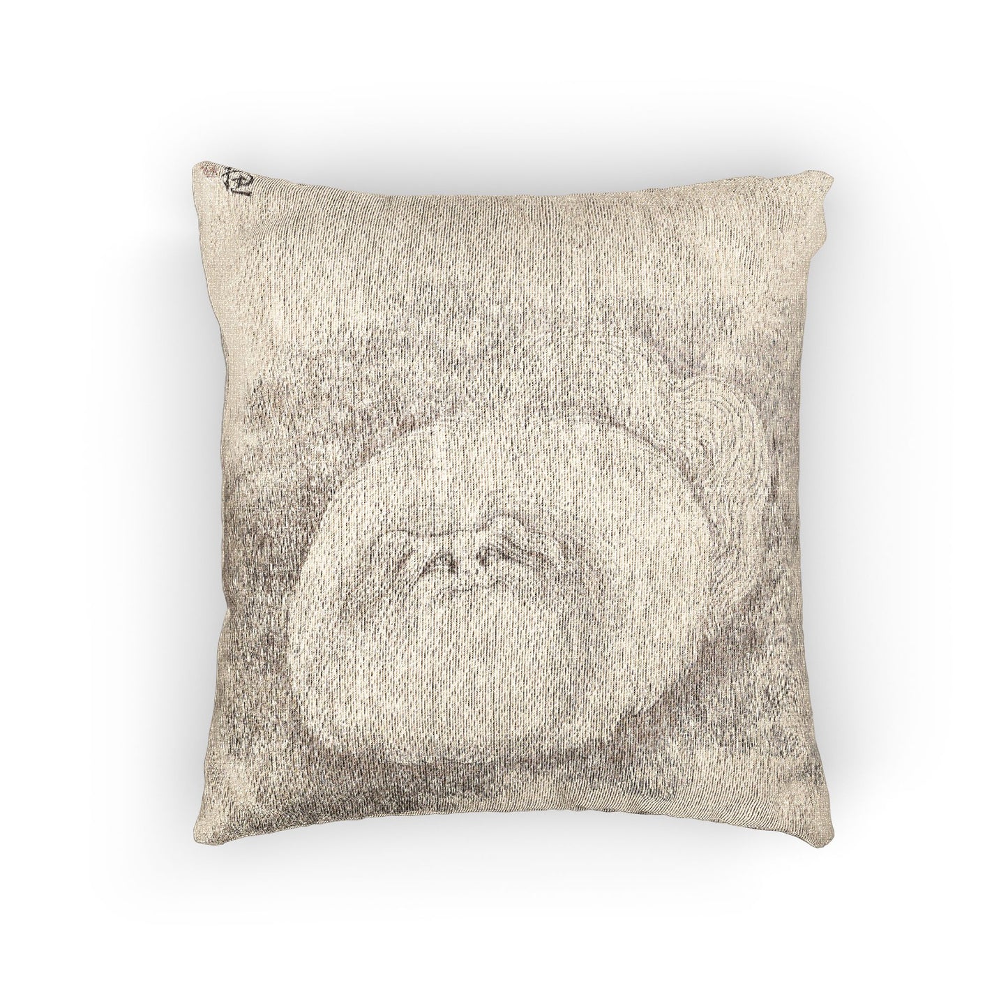 Cat and Butterfly Woven Pillow
