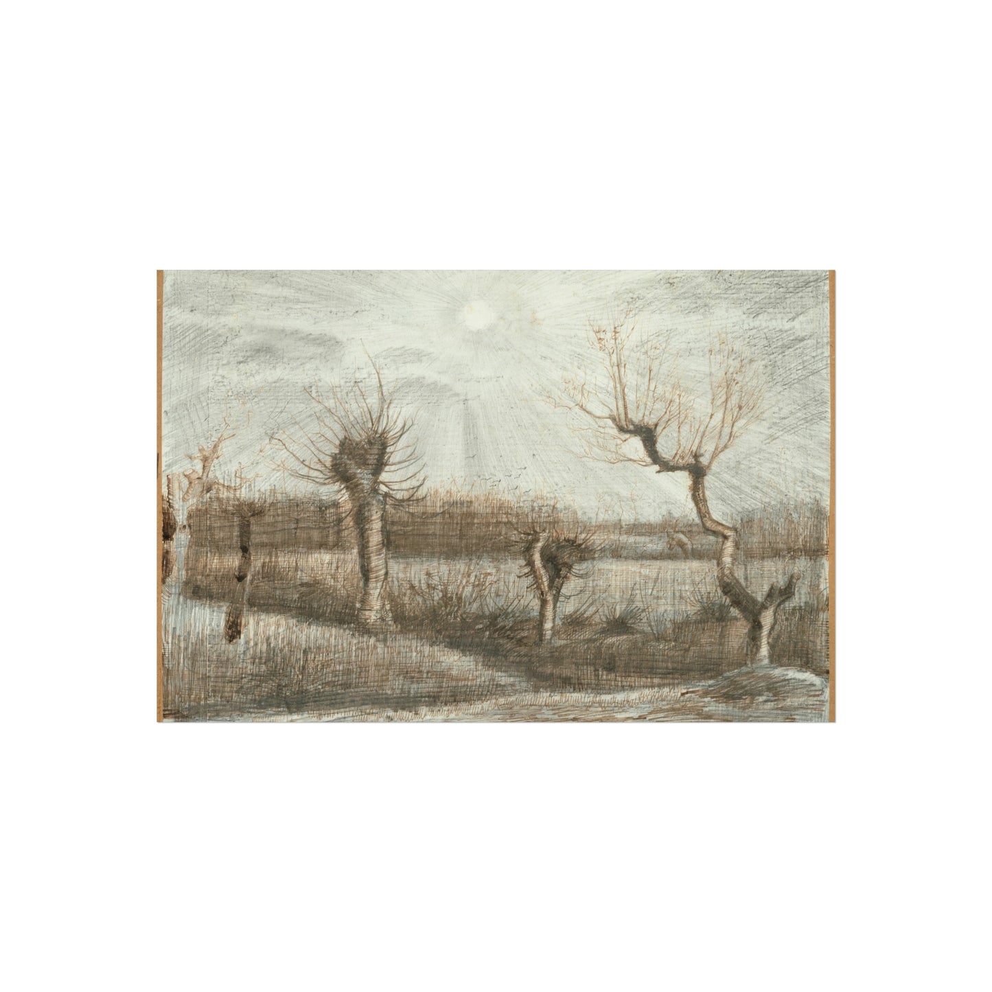 Vincent van Gogh - Tetards (Pollards) | Fine Art Poster