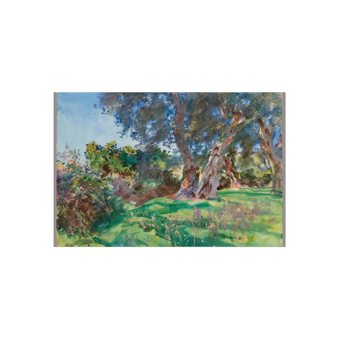 John Singer Sargent - Olive Trees, Corfu | Fine Art Poster
