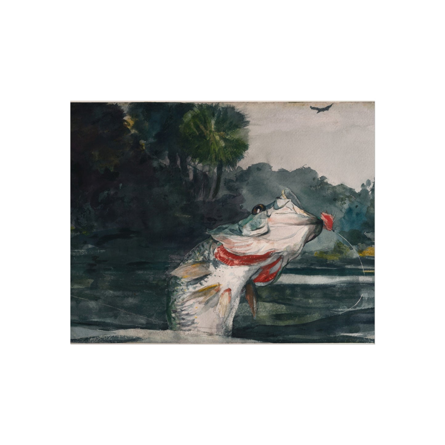 Winslow Homer - Life-Size Black Bass | Fine Art Poster