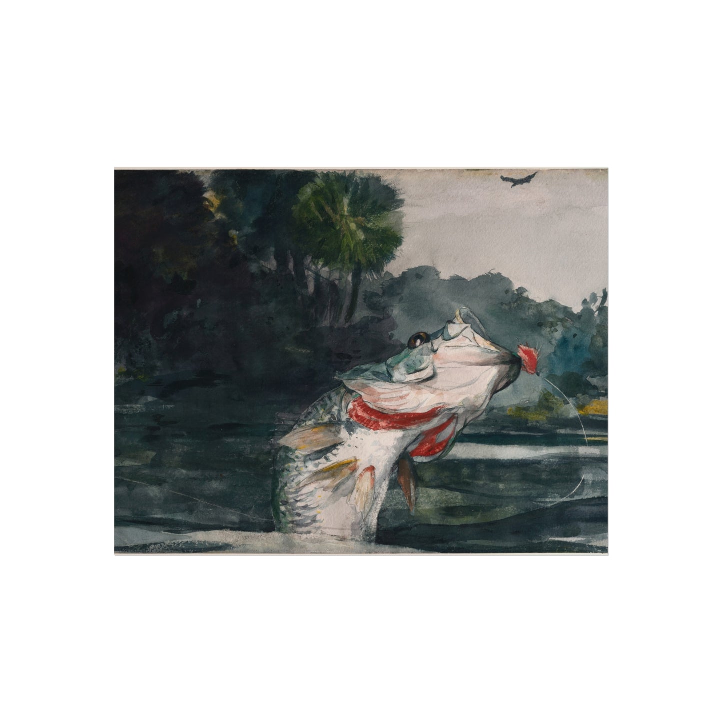 Winslow Homer - Life-Size Black Bass | Fine Art Poster