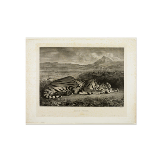 Bengal Tiger — Eugène Delacroix Fine Art Poster