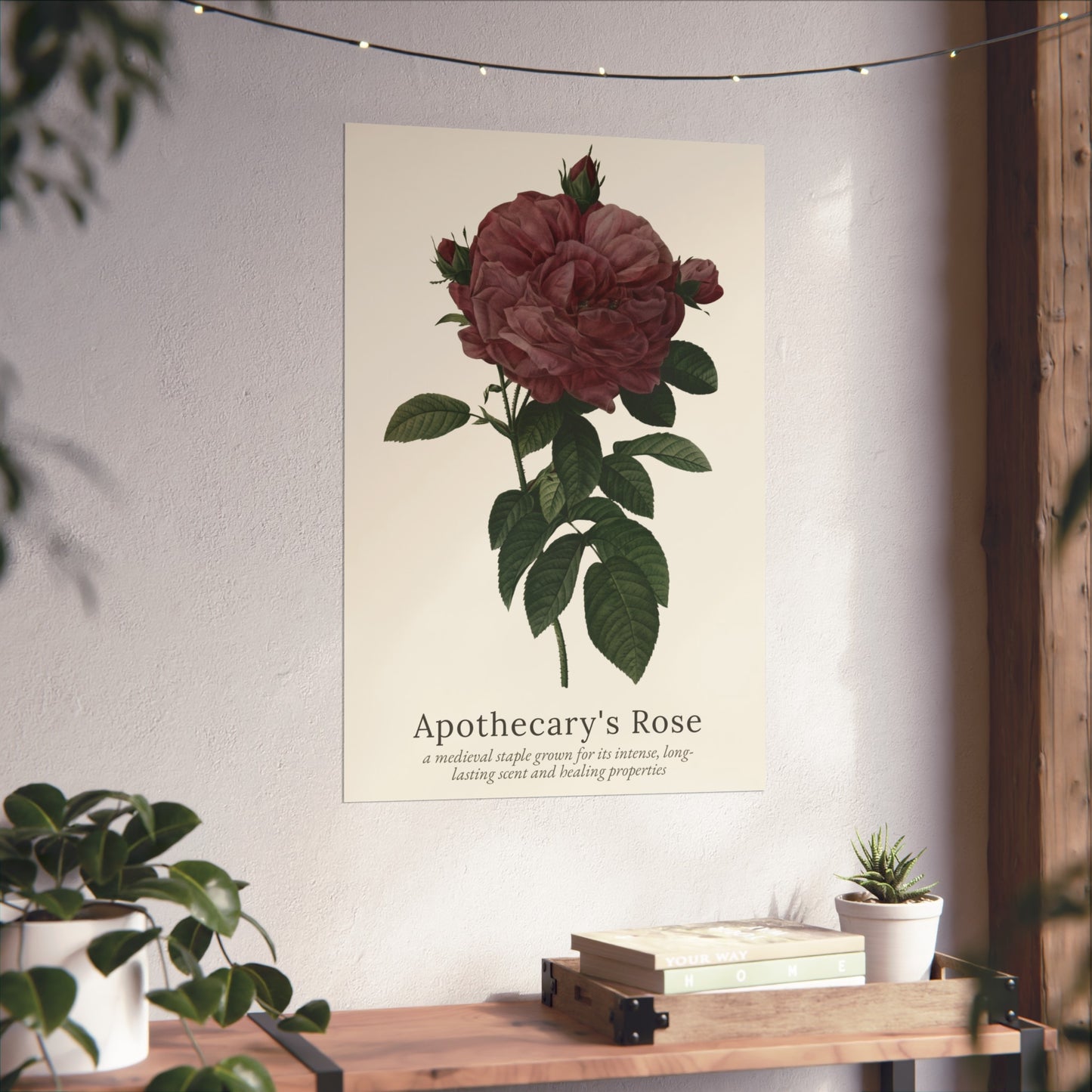 Apothecary's Rose Poster