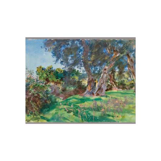 Olive Trees, Corfu — John Singer Sargent Fine Art Poster