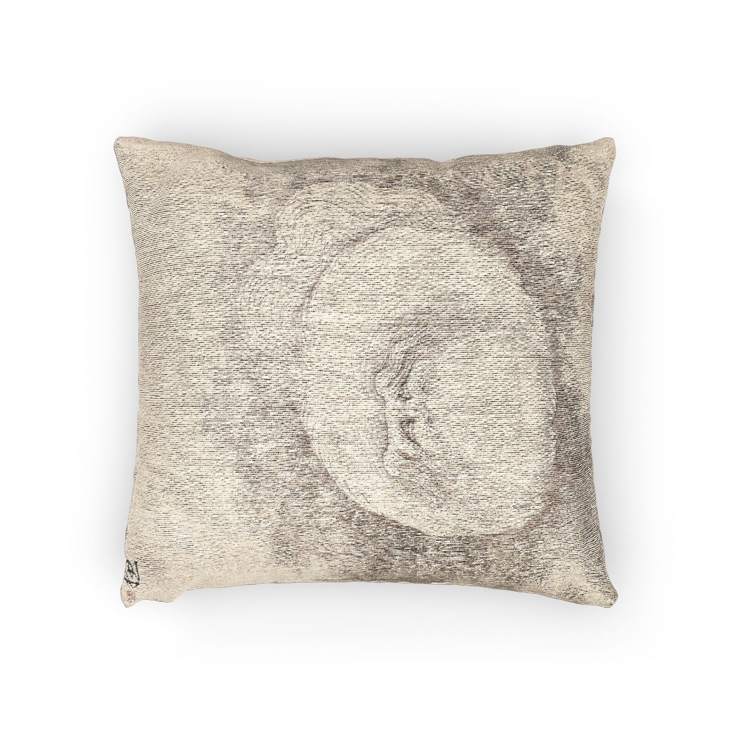 Cat and Butterfly Woven Pillow