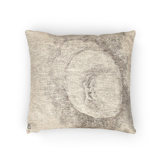 Cat and Butterfly Pillow