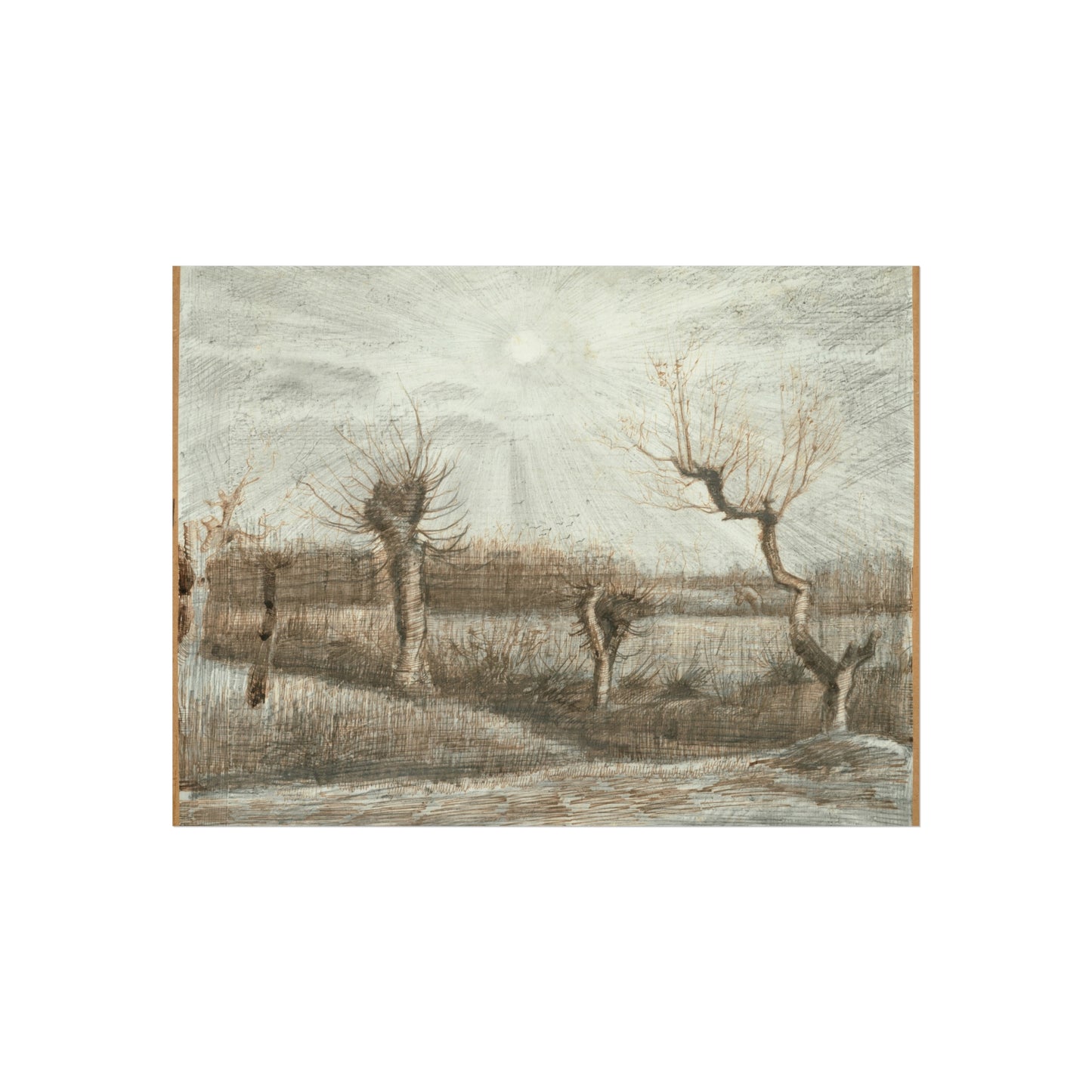 Vincent van Gogh - Tetards (Pollards) | Fine Art Poster