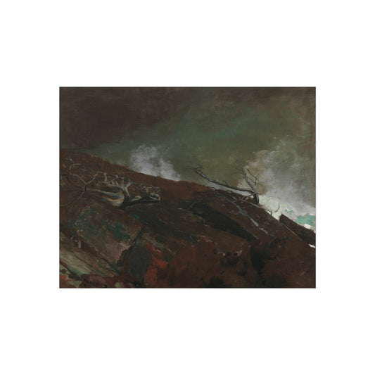 Coast of Maine — Winslow Homer Fine Art Poster