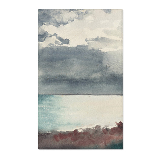 Breaking Storm, Coast of Maine — Homer Area Rug