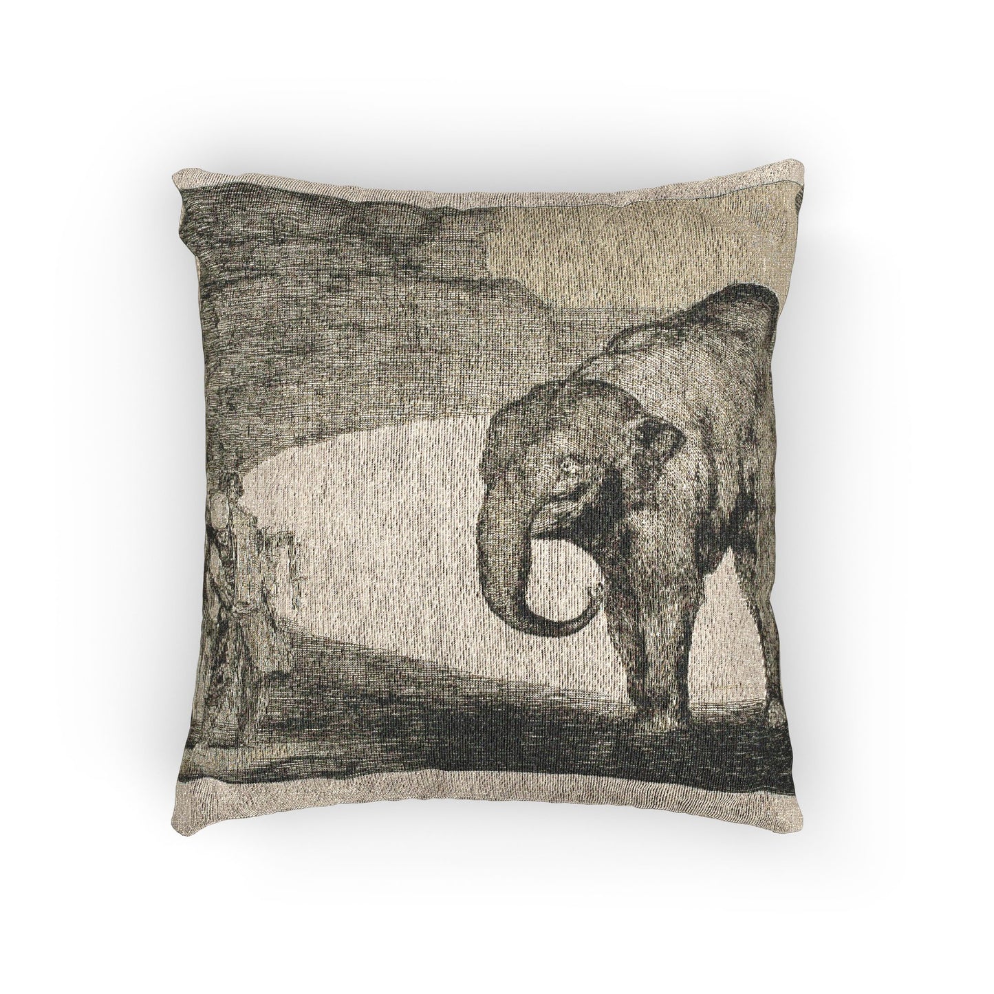 Francisco José de Goya y Lucientes - Animal Folly, from Disparates | Woven Pillow