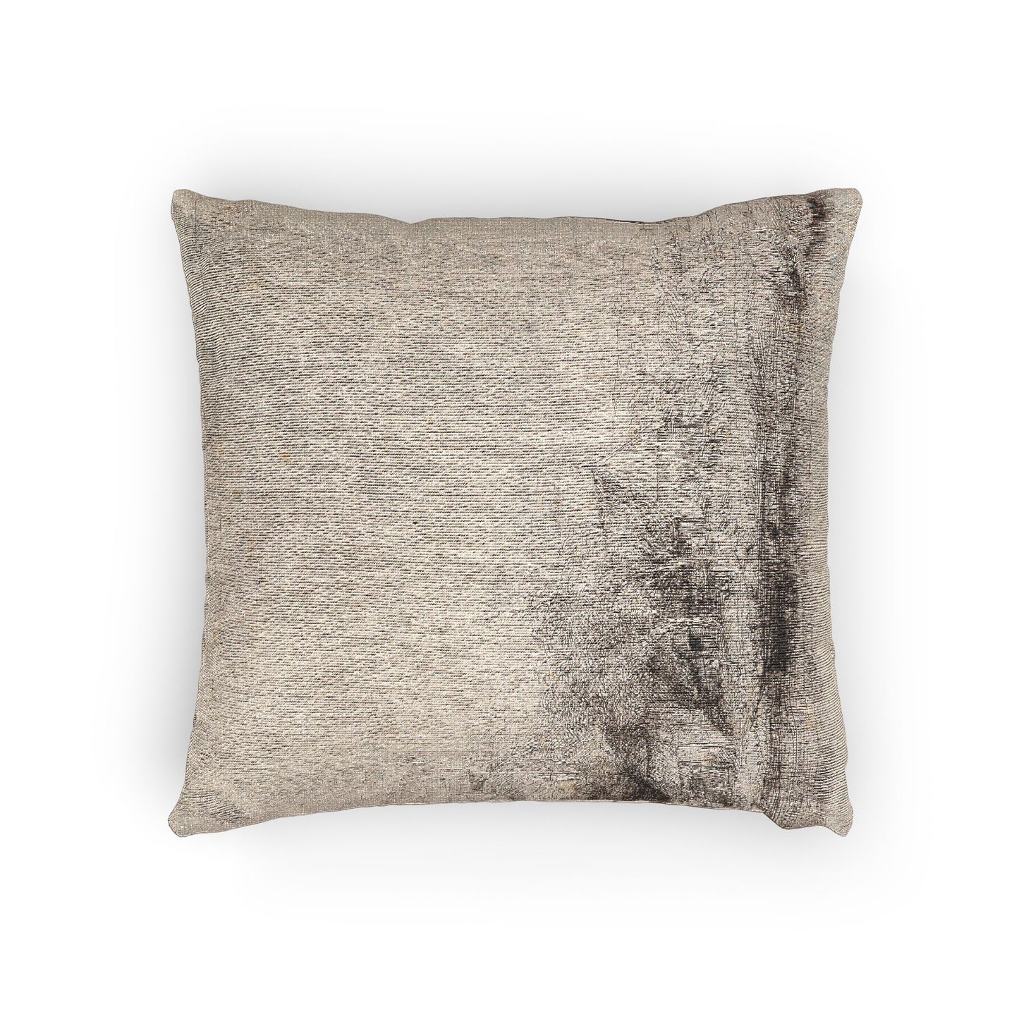 Rembrandt van Rijn - Landscape with a Cow Drinking | Woven Pillow