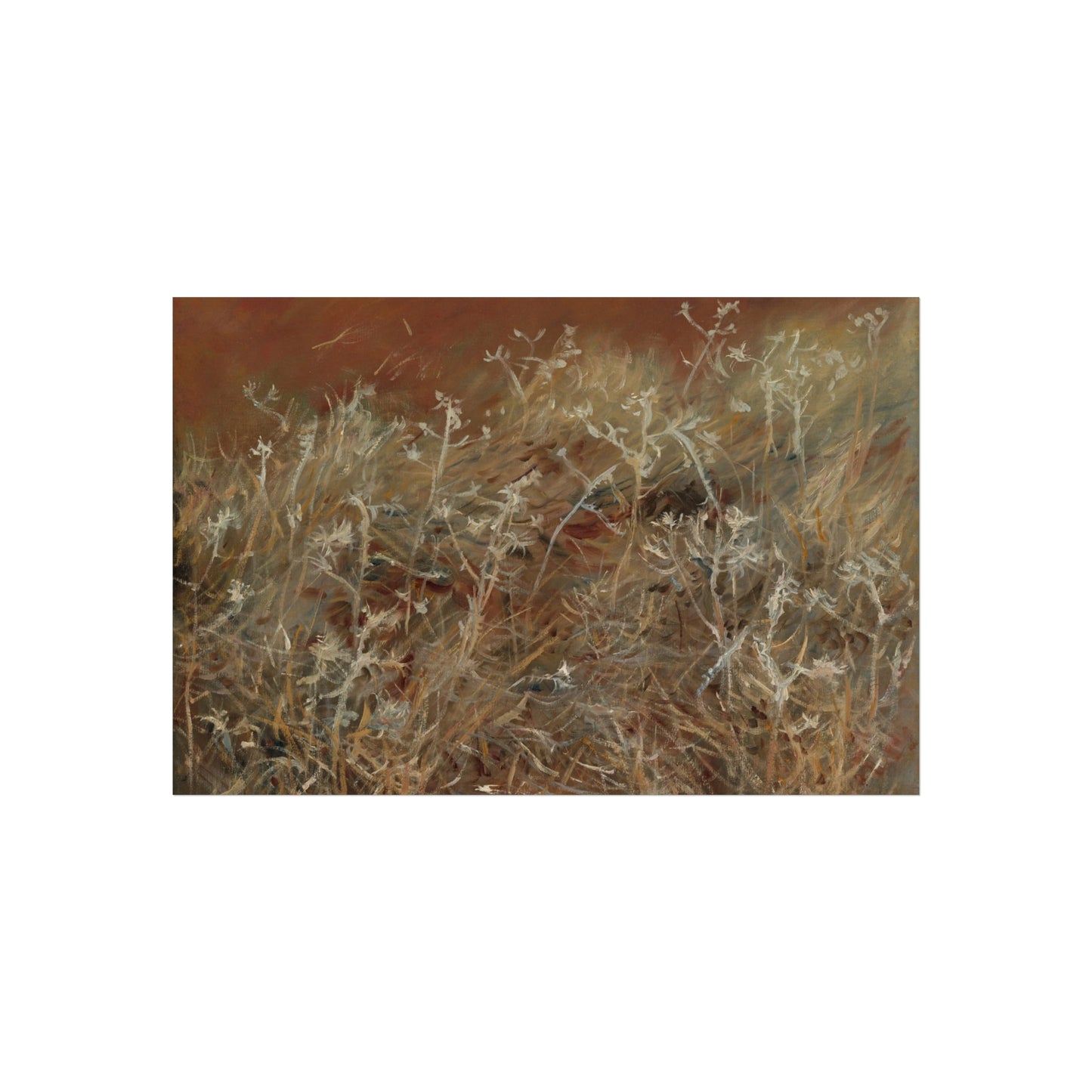 John Singer Sargent - Thistles | Fine Art Poster