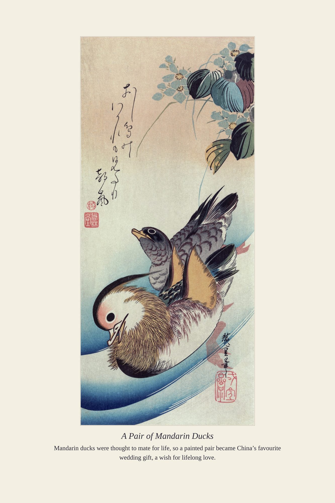 A Pair of Mandarin Ducks — antique art print
