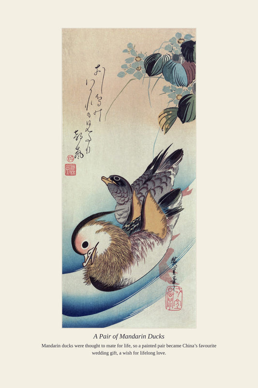 A Pair of Mandarin Ducks — antique art print