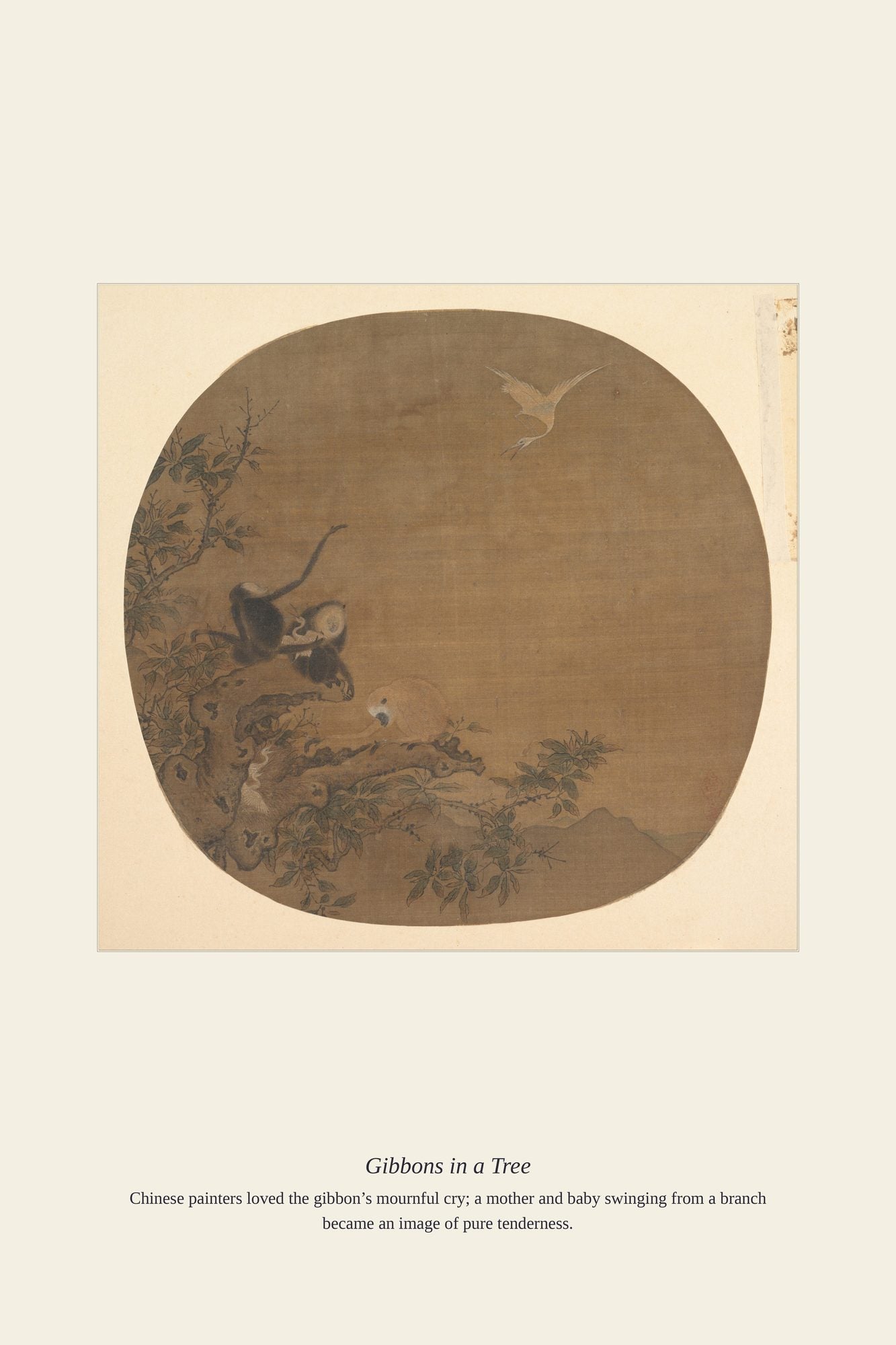 Gibbons in a Tree — antique art print