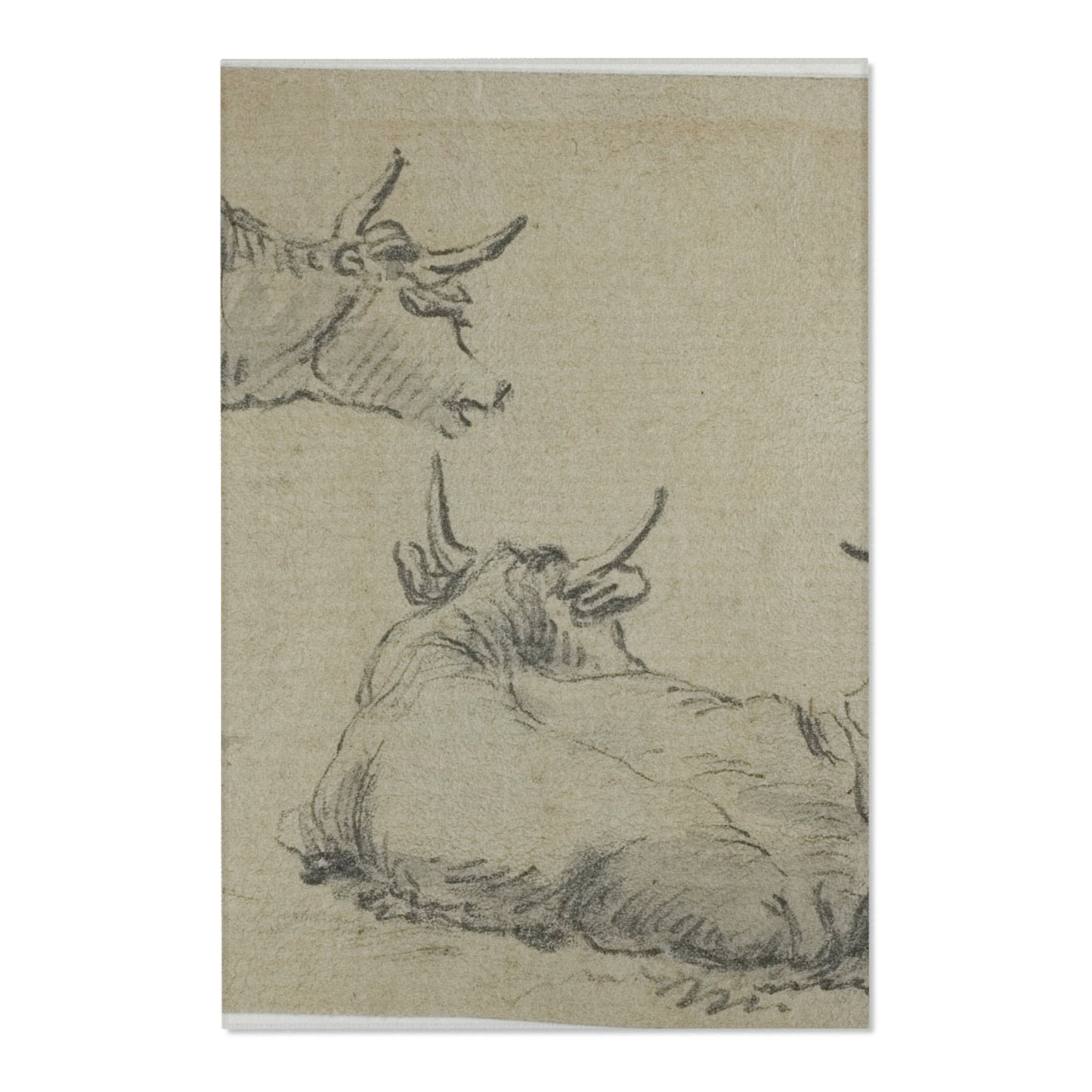 Aelbert Cuyp - Three Sketches of Cows | Area Rug
