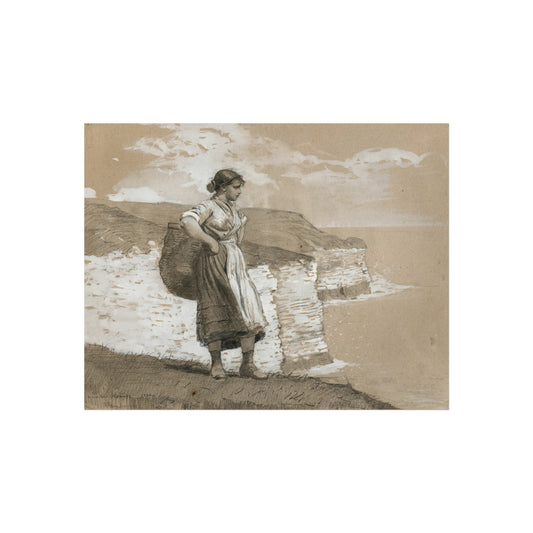 Flamborough Head, England — Winslow Homer Fine Art Poster