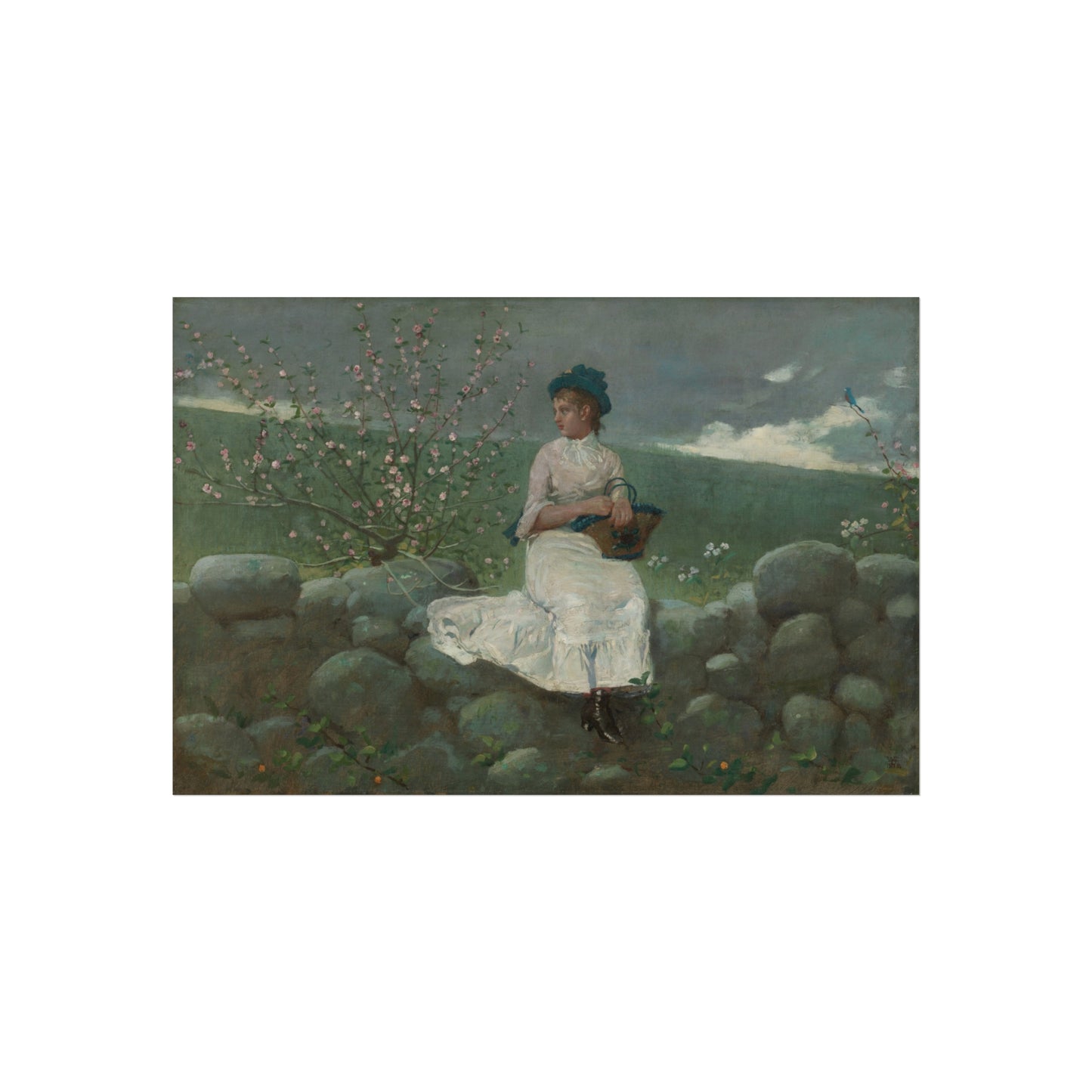 Winslow Homer - Peach Blossoms | Fine Art Poster
