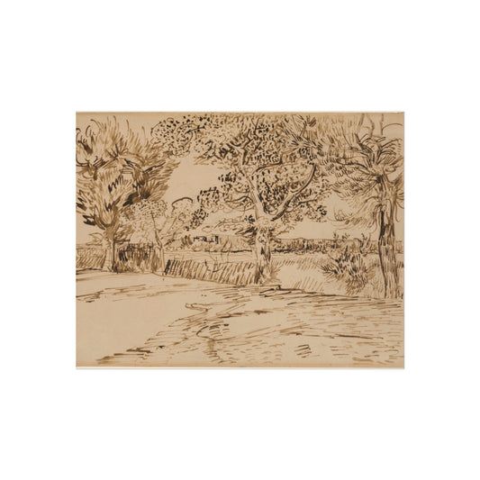Landscape at Arles — Vincent van Gogh Fine Art Poster