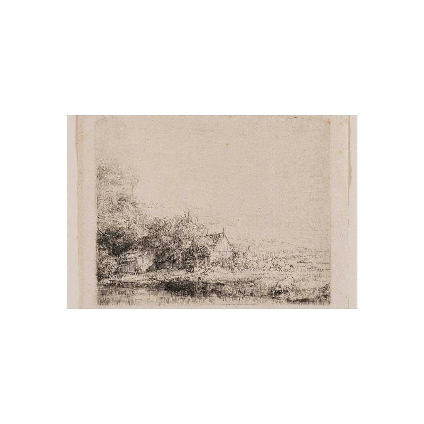 Rembrandt van Rijn - Landscape with a Cow Drinking | Fine Art Poster