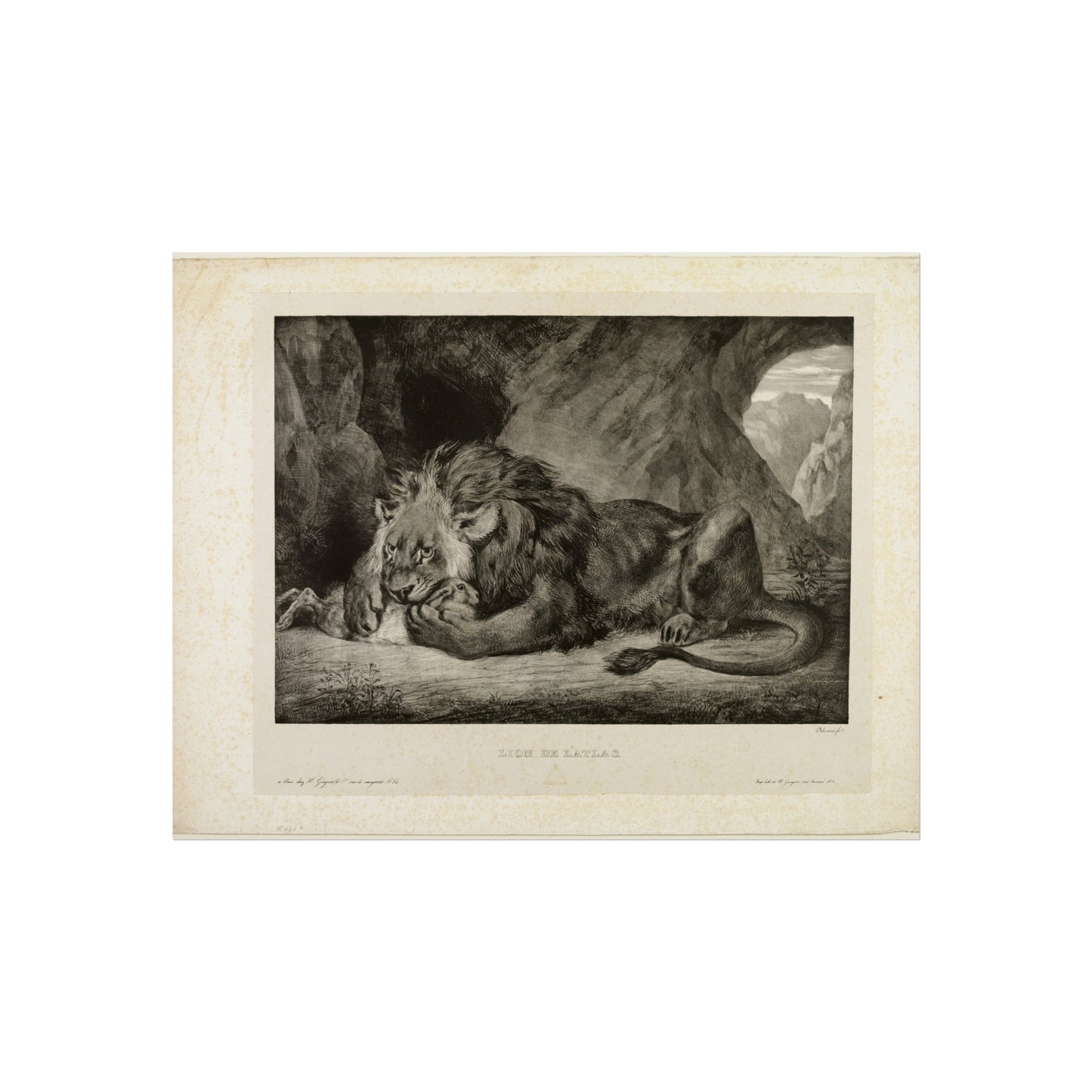 Eugène Delacroix - Lion of the Atlas Mountains | Fine Art Poster