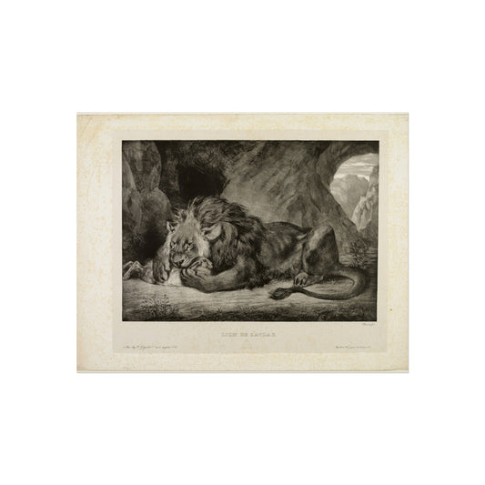 Lion of the Atlas Mountains — Eugène Delacroix Fine Art Poster
