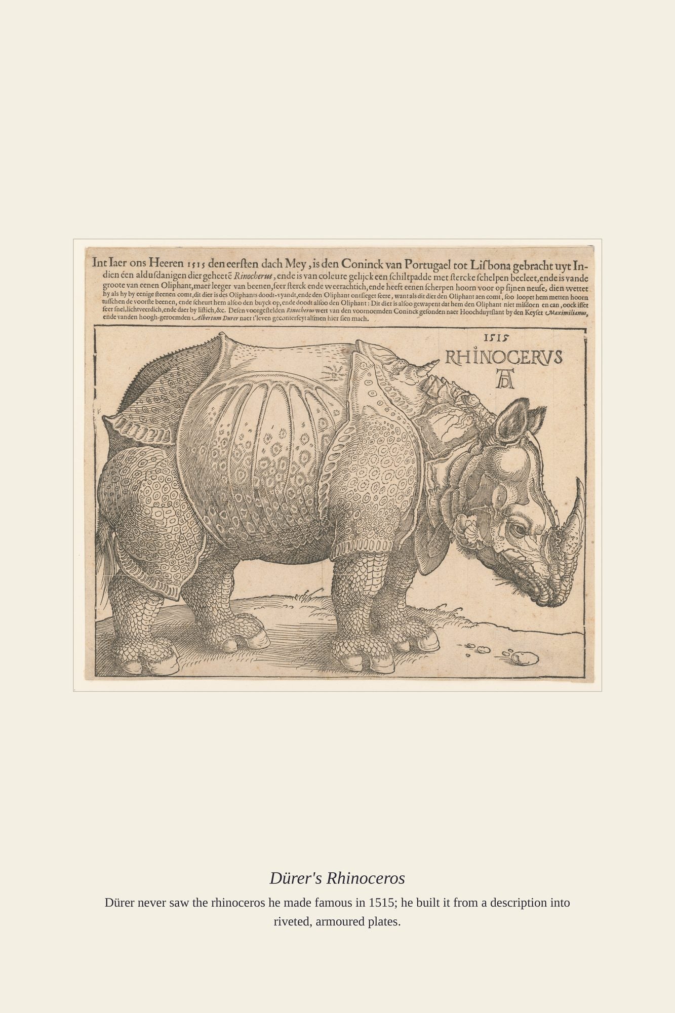 Dürer's Rhinoceros — antique art print