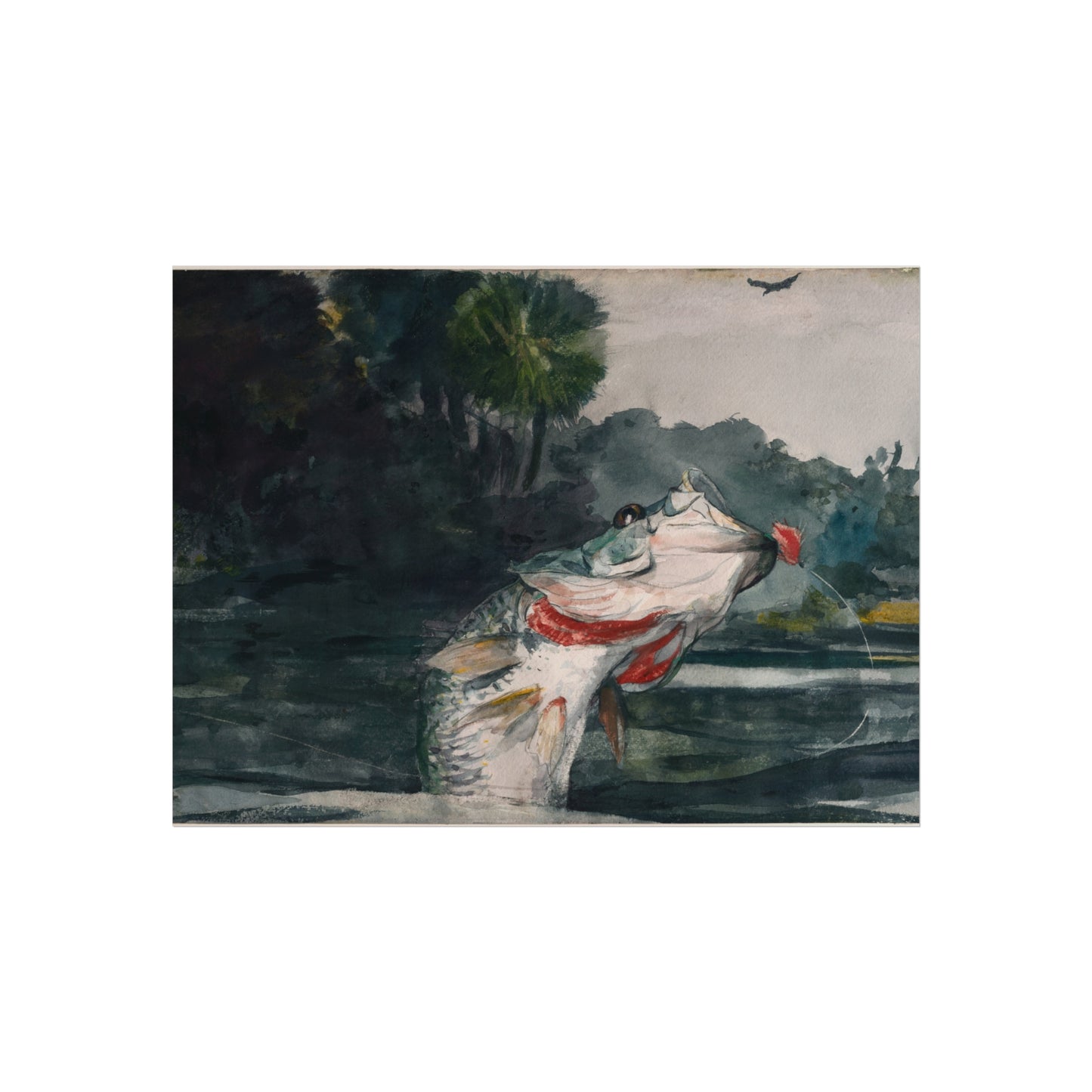 Winslow Homer - Life-Size Black Bass | Fine Art Poster