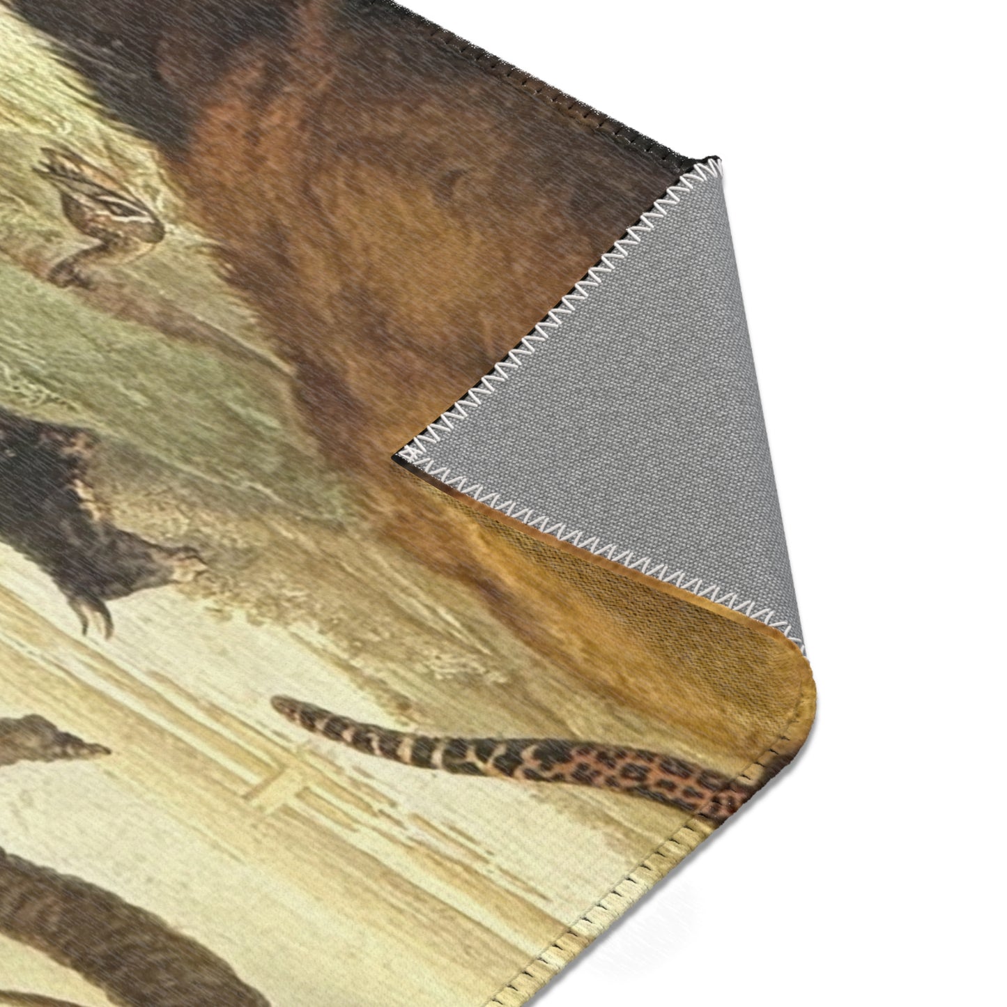 Dessau, Anhaltische Gemäldegalerie, Aelbert Jacobsz. Cuyp, Orpheus und die Tiere | Area Rug