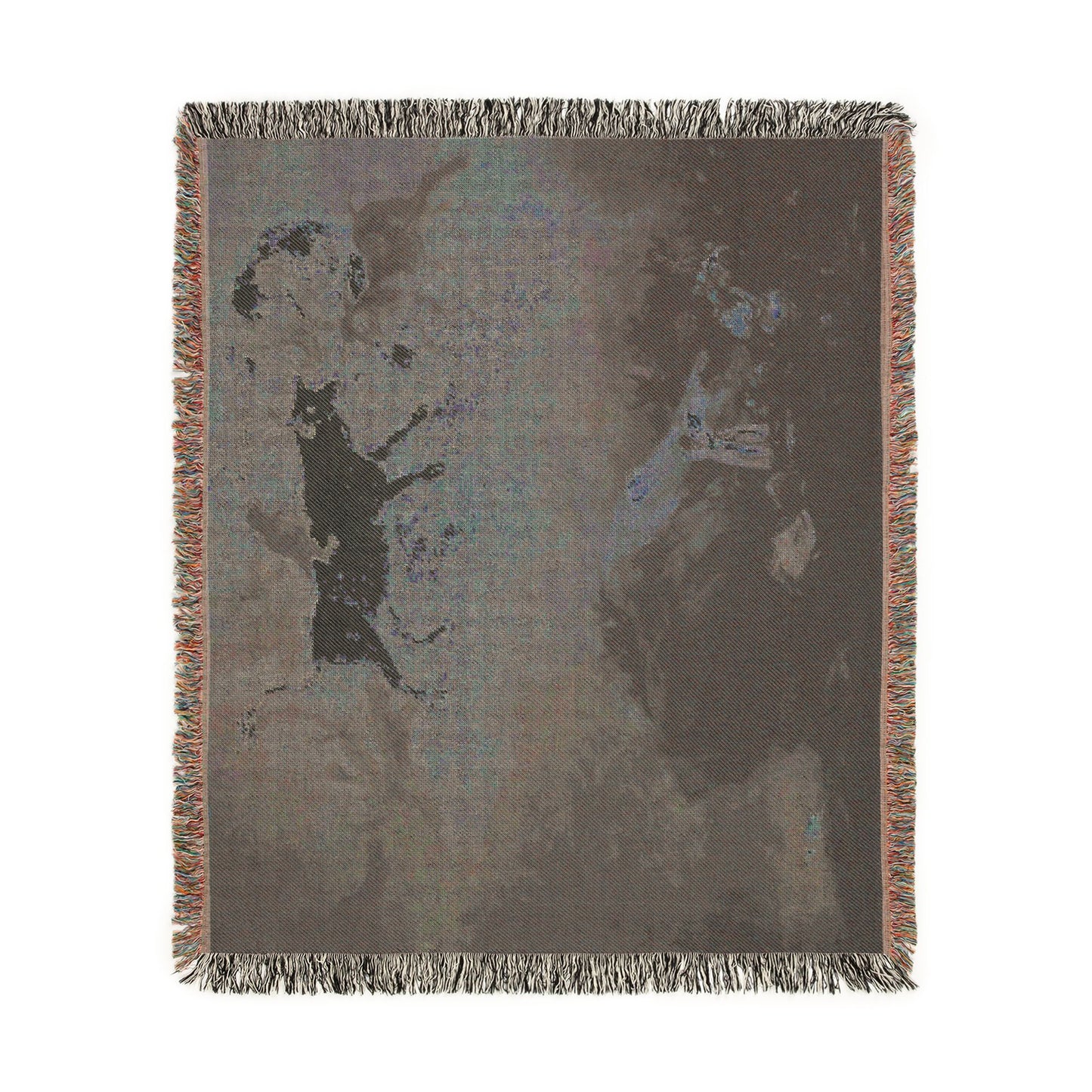 (Agen) Caprice - Francisco de Goya 1818-1819 - Musée des Beaux-Arts d'Agen | Woven Tapestry Blanket