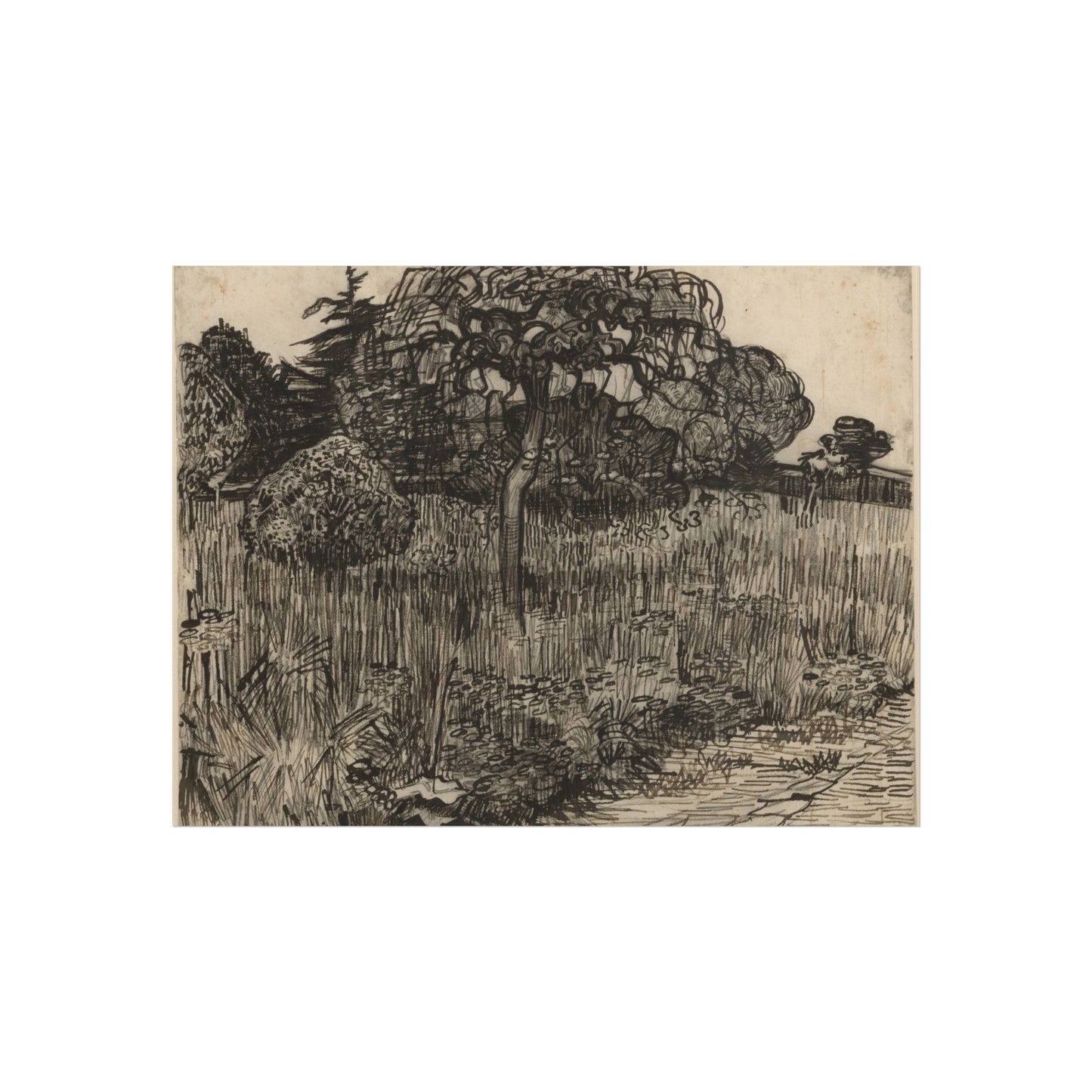 Vincent van Gogh - Weeping Tree | Fine Art Poster