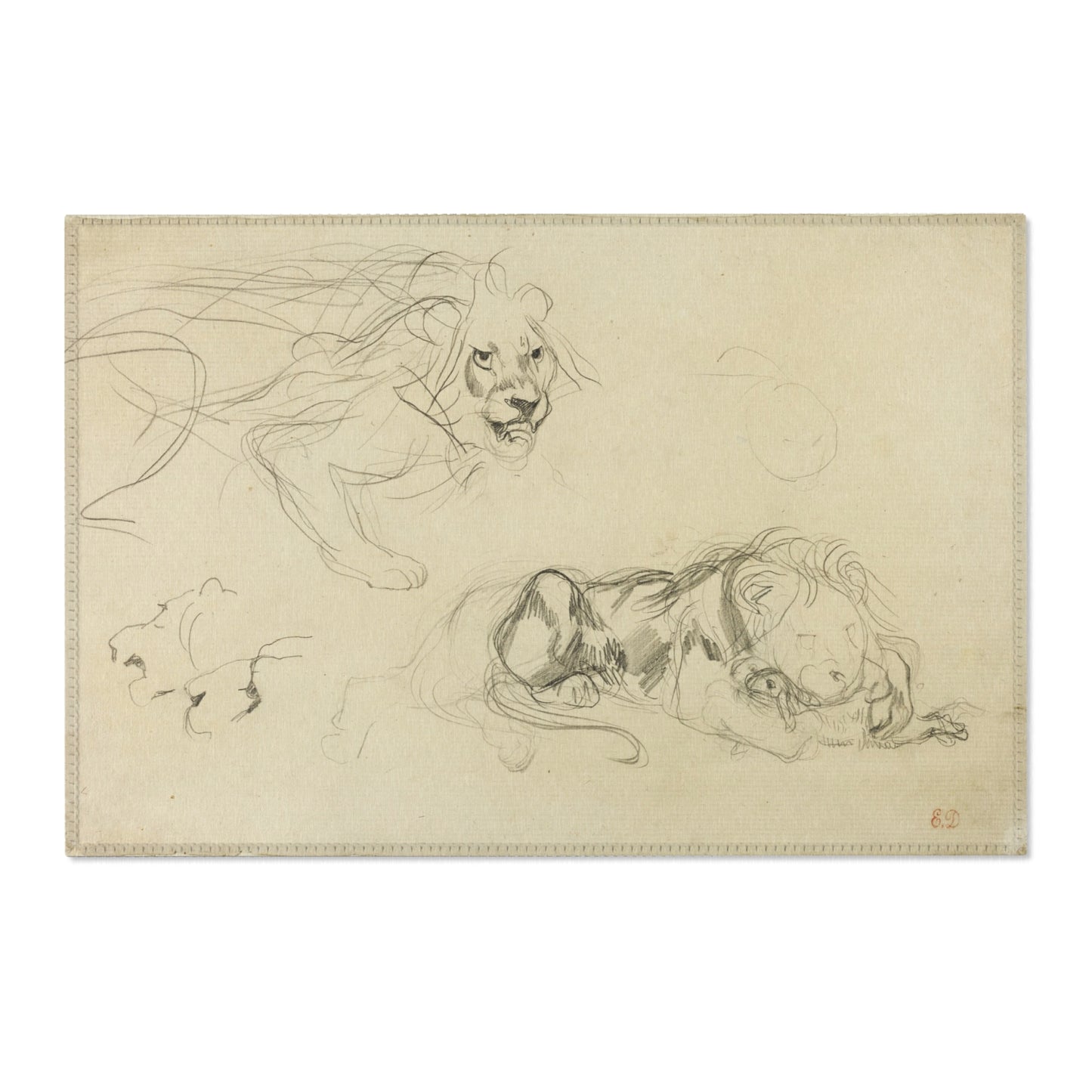 Eugène Delacroix - Studies of Lions | Area Rug