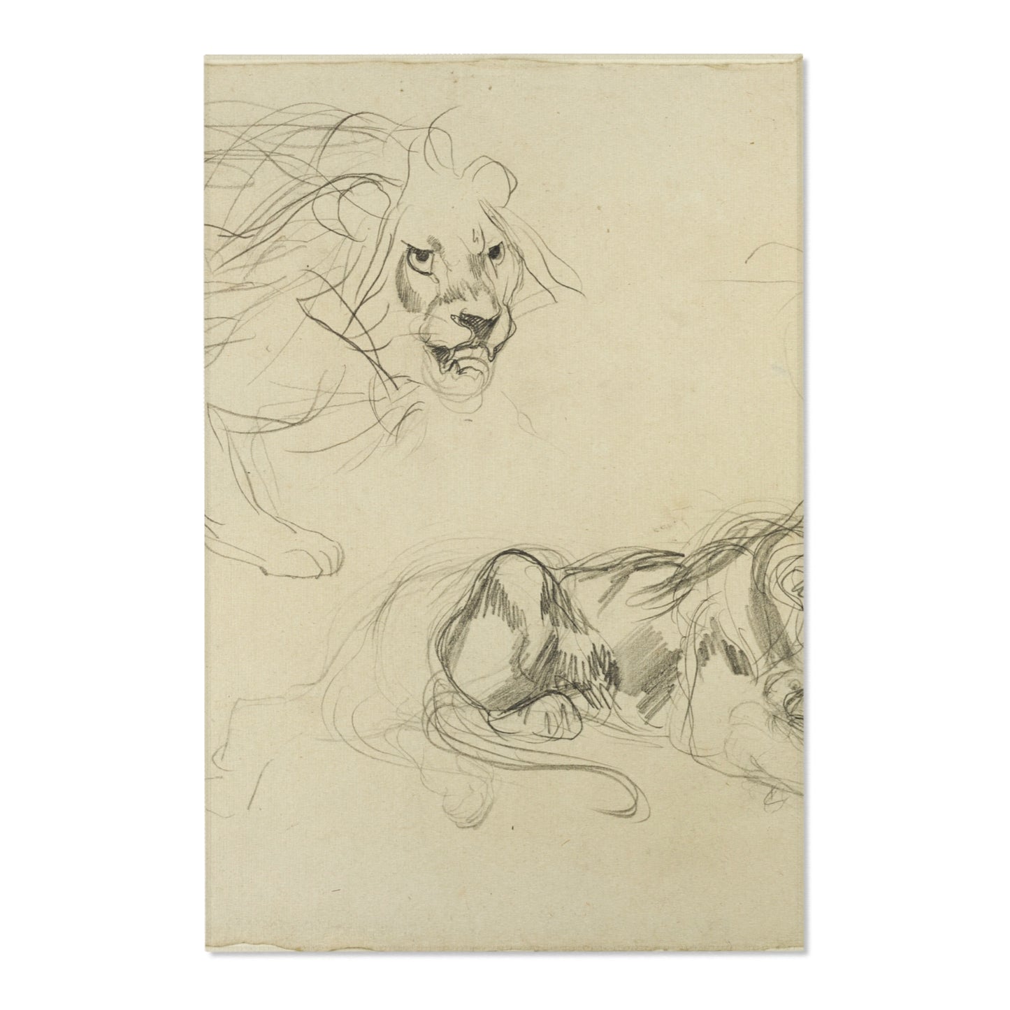 Eugène Delacroix - Studies of Lions | Area Rug