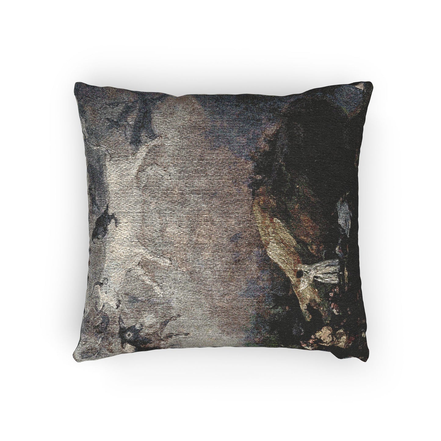 (Agen) Caprice - Francisco de Goya 1818-1819 - Musée des Beaux-Arts d'Agen | Woven Pillow