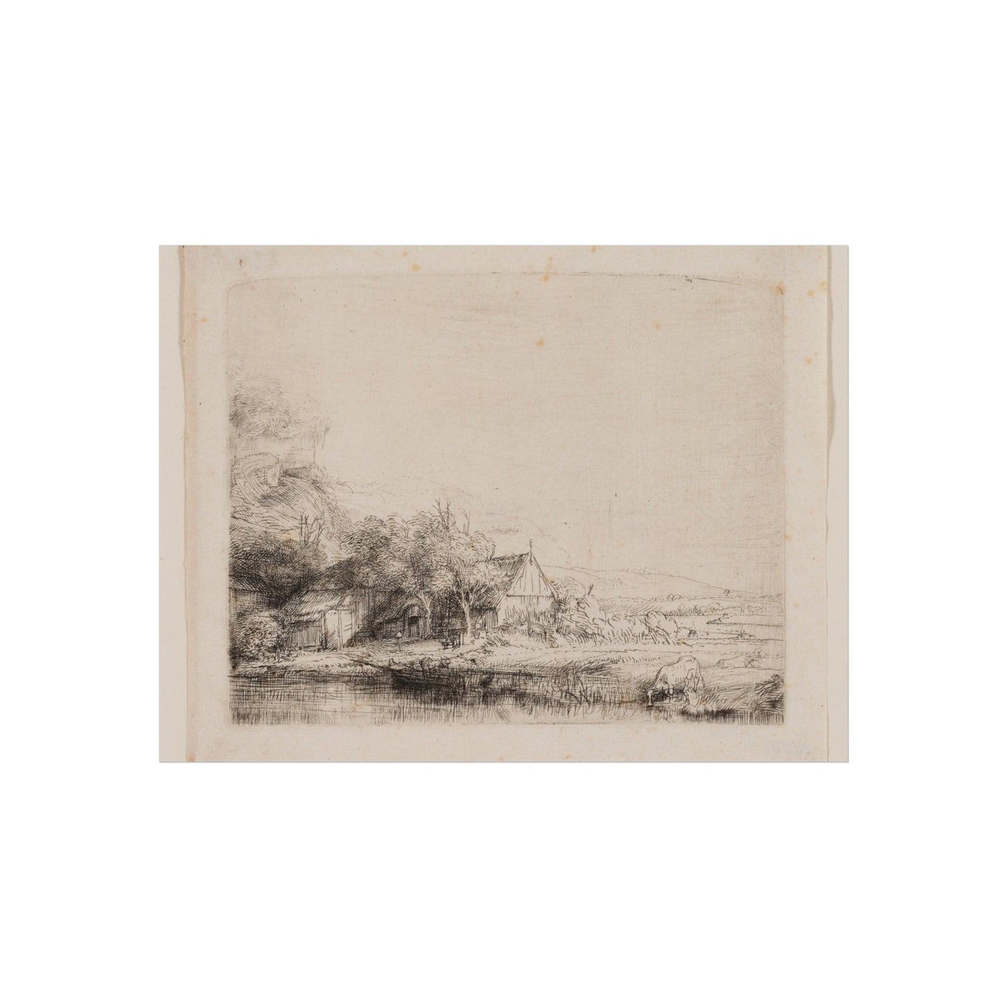 Rembrandt van Rijn - Landscape with a Cow Drinking | Fine Art Poster
