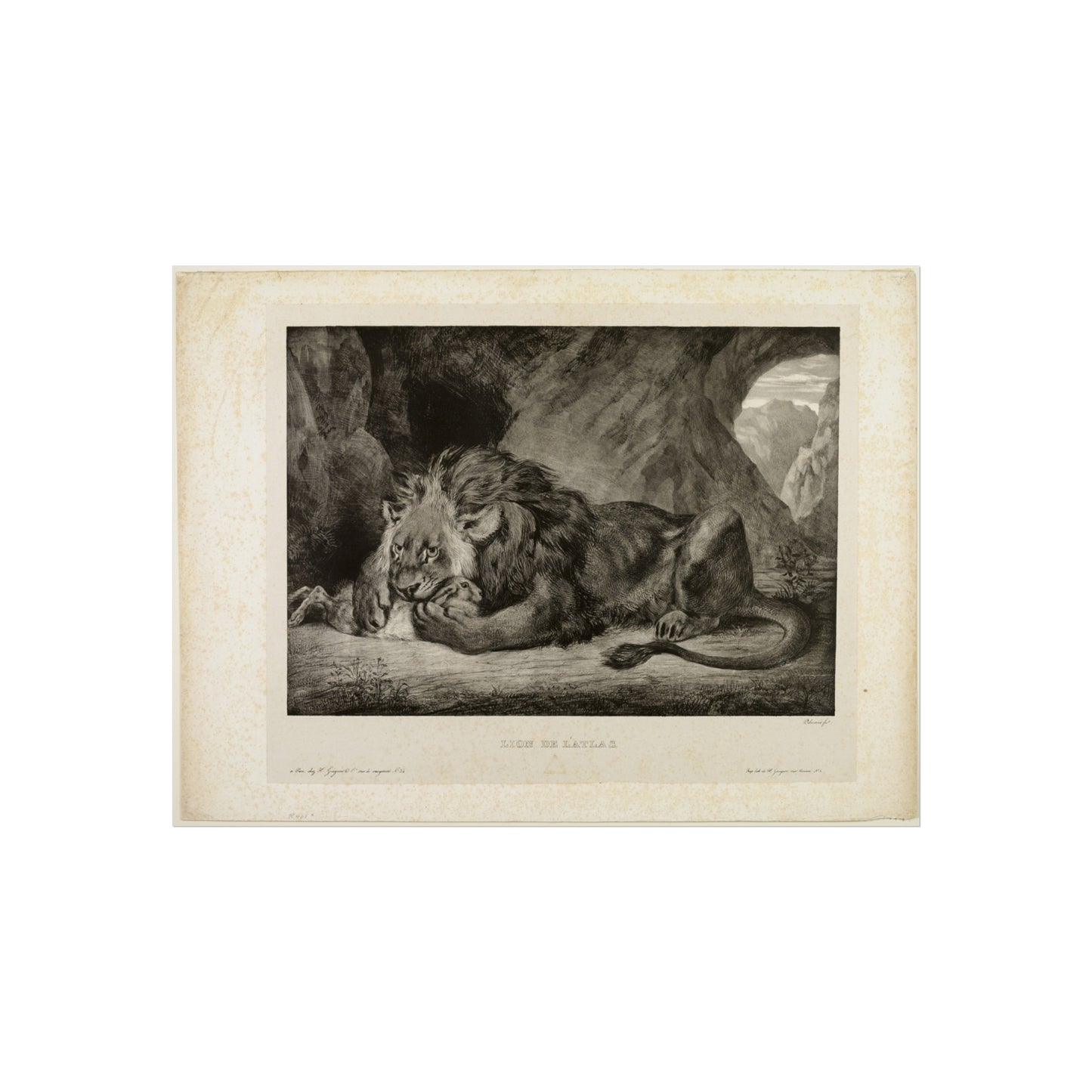 Eugène Delacroix - Lion of the Atlas Mountains | Fine Art Poster