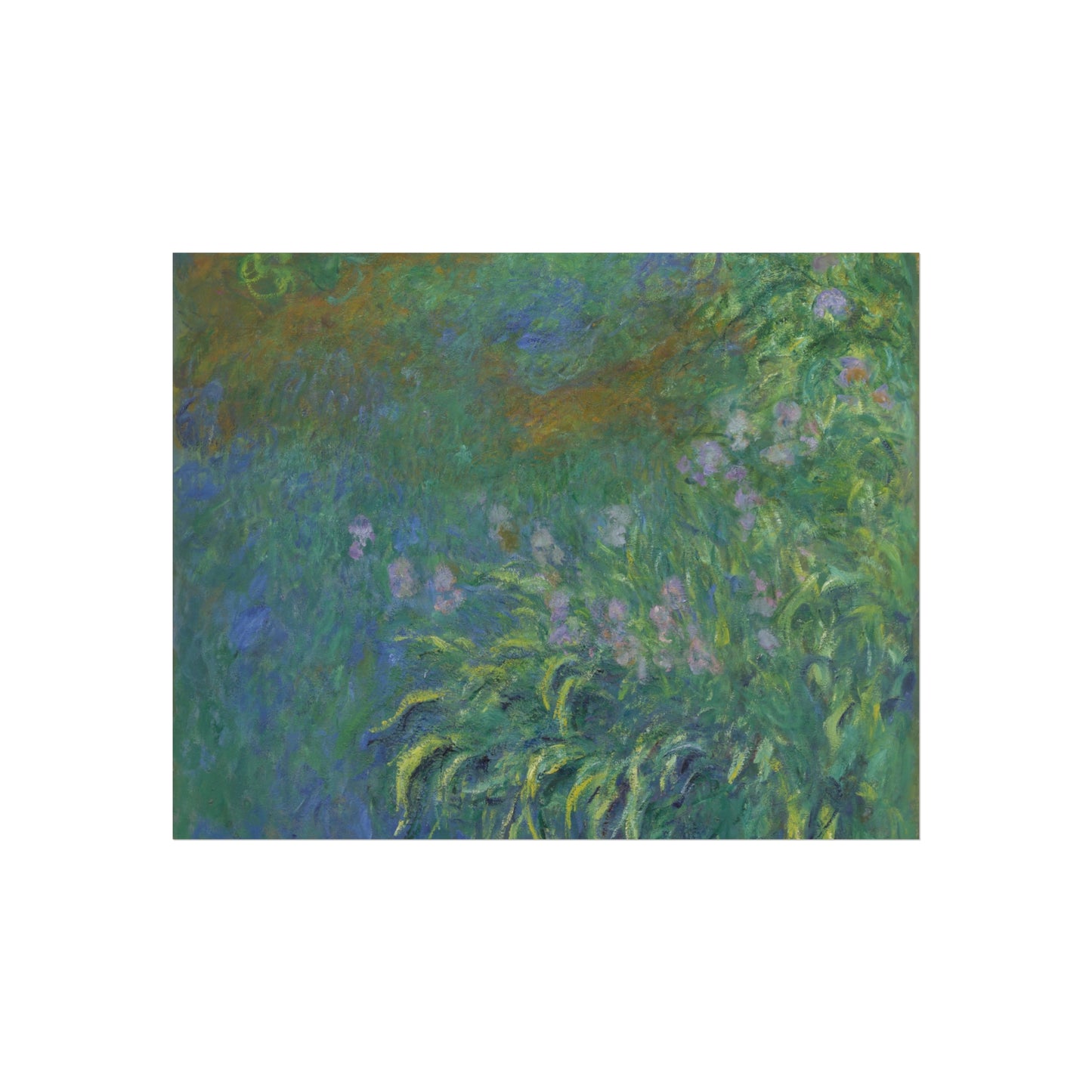 Claude Monet - Irises | Fine Art Poster