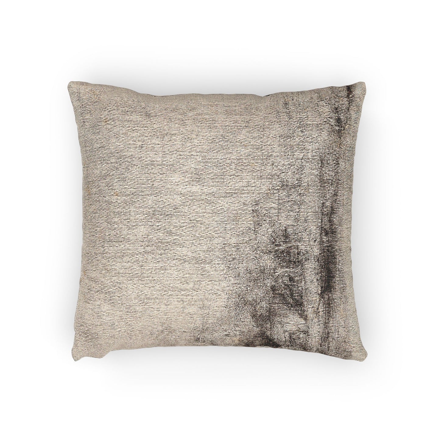 Rembrandt van Rijn - Landscape with a Cow Drinking | Woven Pillow